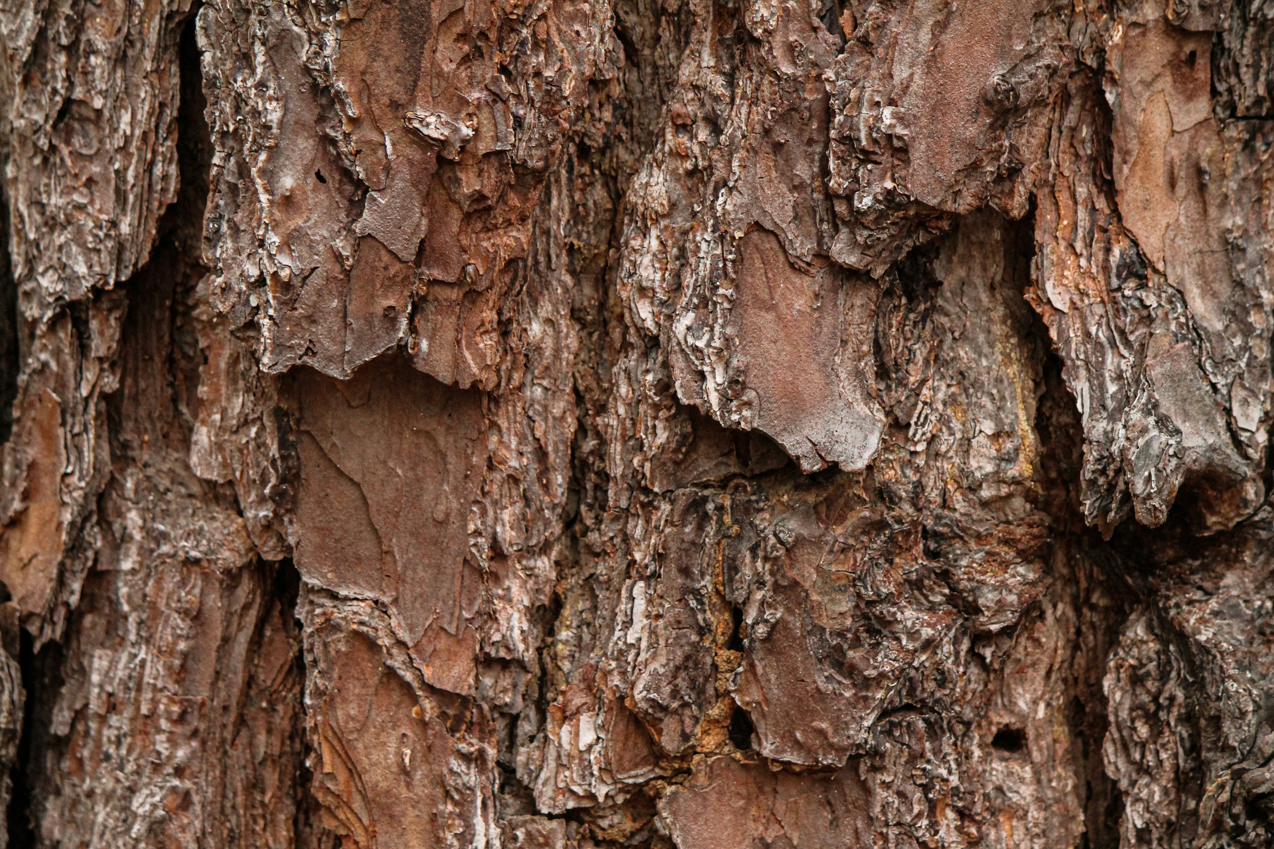 Photo by nick_kissam