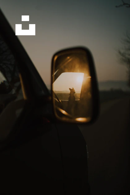 Dog Rear View Mirror A rear view mirror with a dog in the reflection photo – Free Germany ...