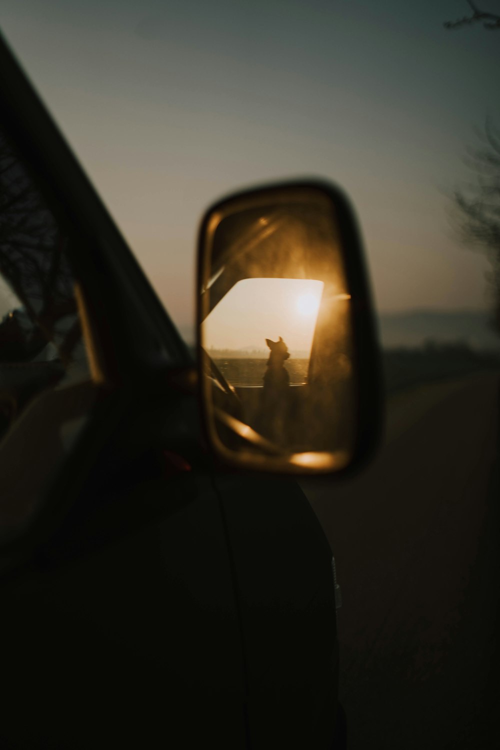 a rear view mirror with a dog in the reflection