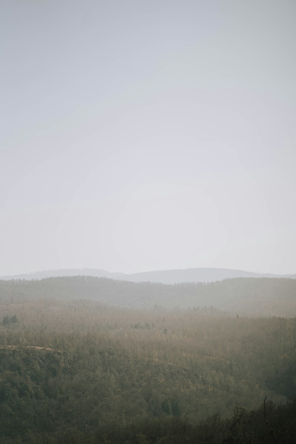 a view of a field with trees and hills in the distance