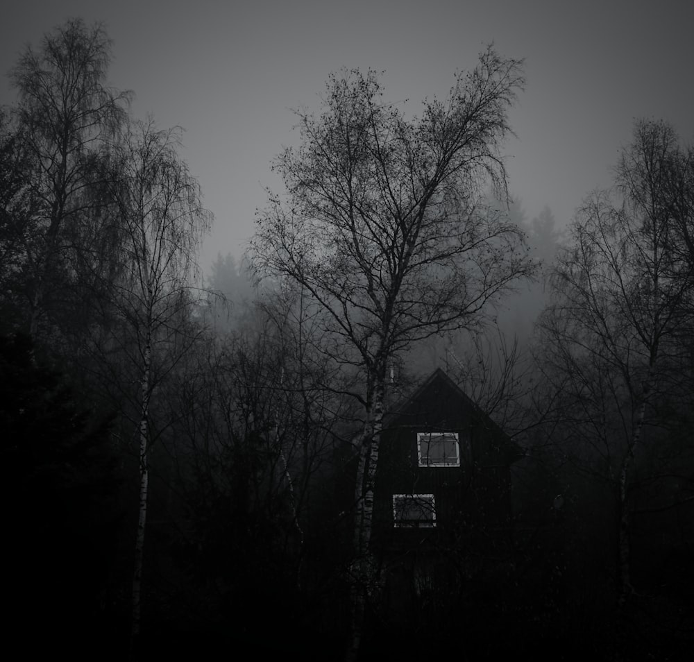 a black and white photo of a house in the woods