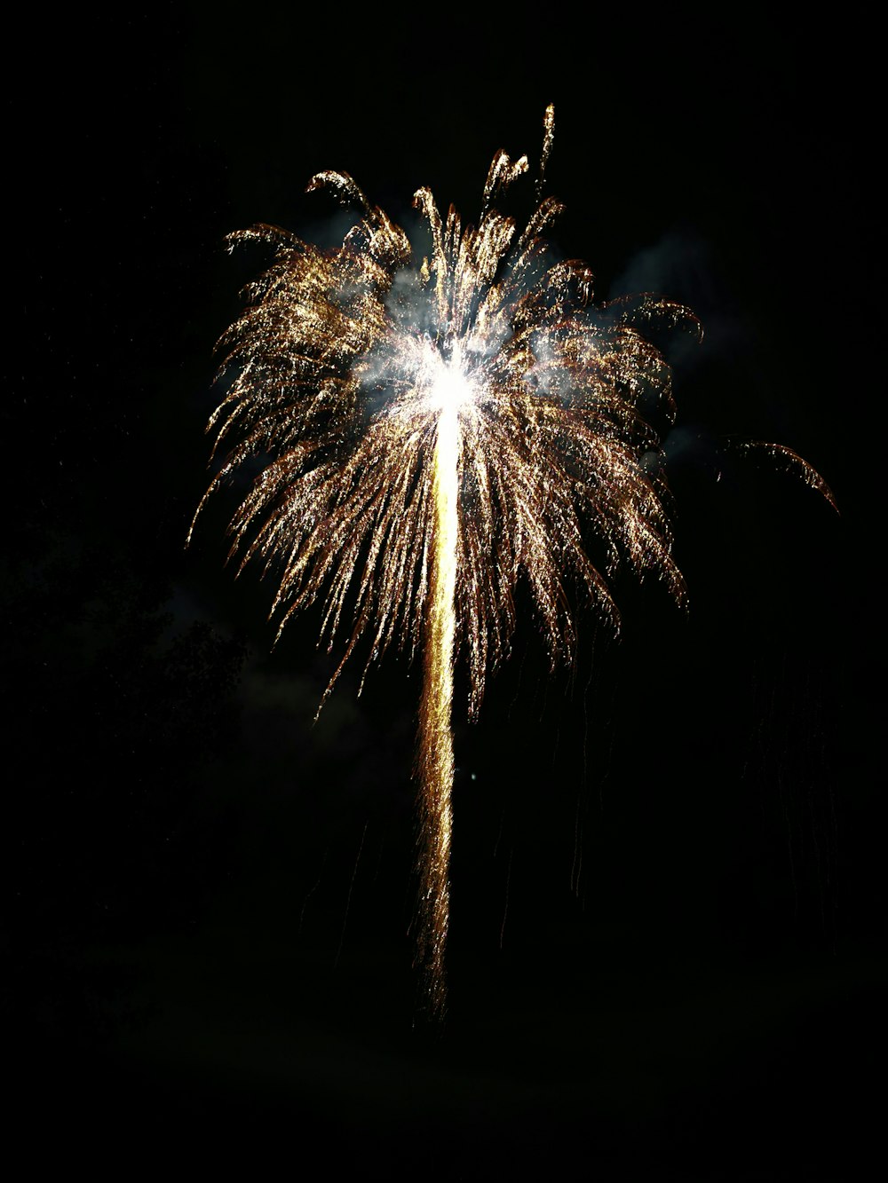 a large fireworks is lit up in the night sky