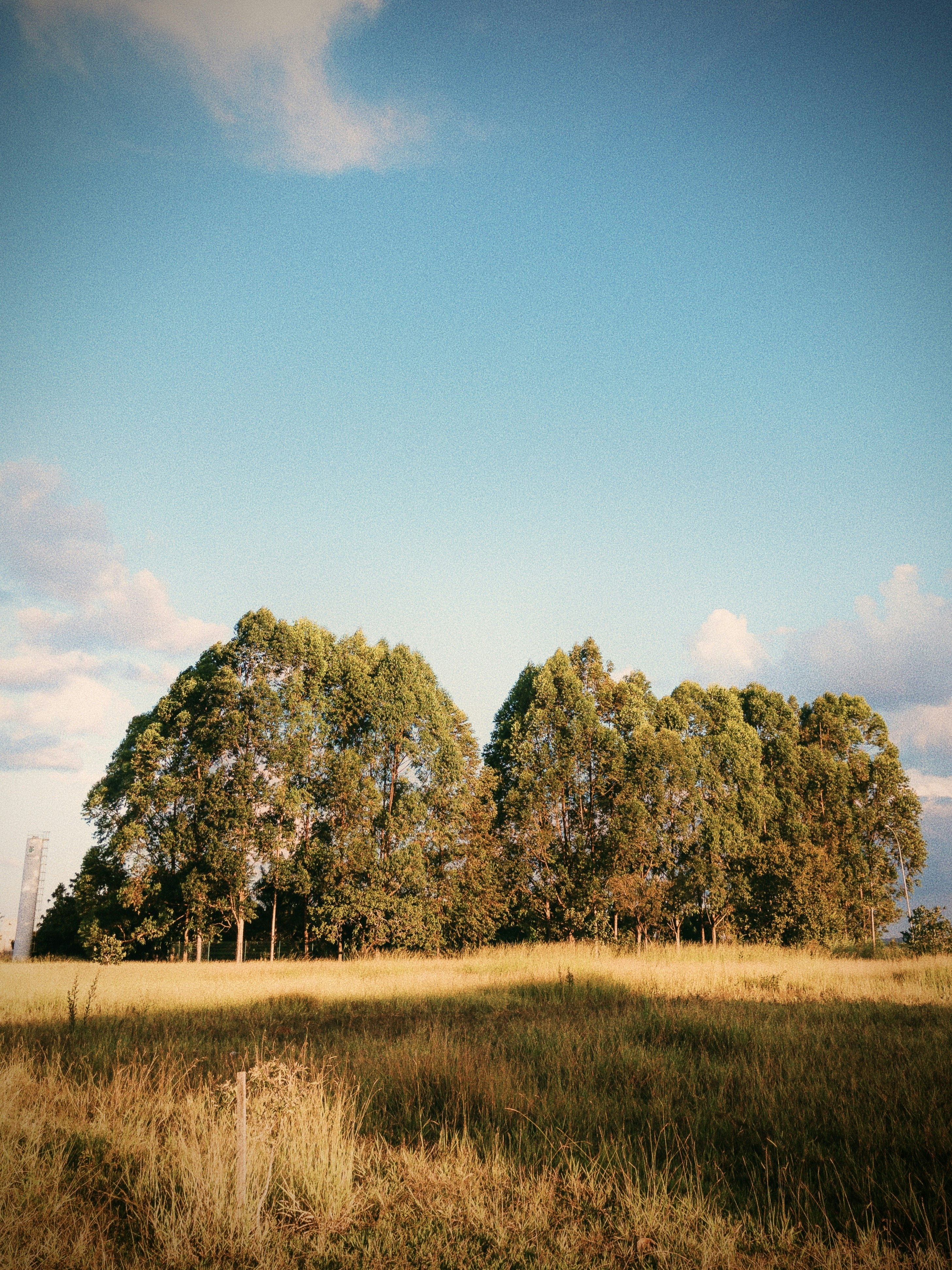 Photo by gabrieldizzi