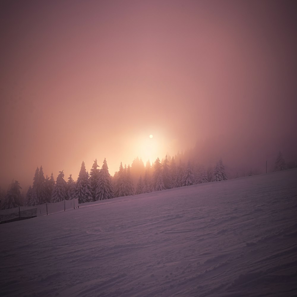 a snow covered field with trees in the background