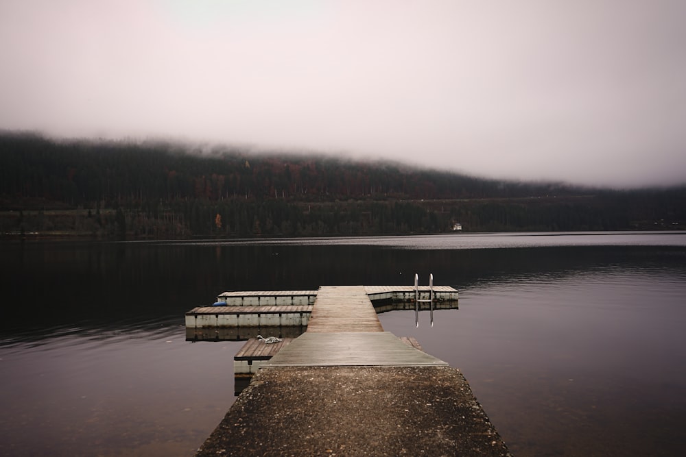 a dock sitting on top of a lake next to a forest