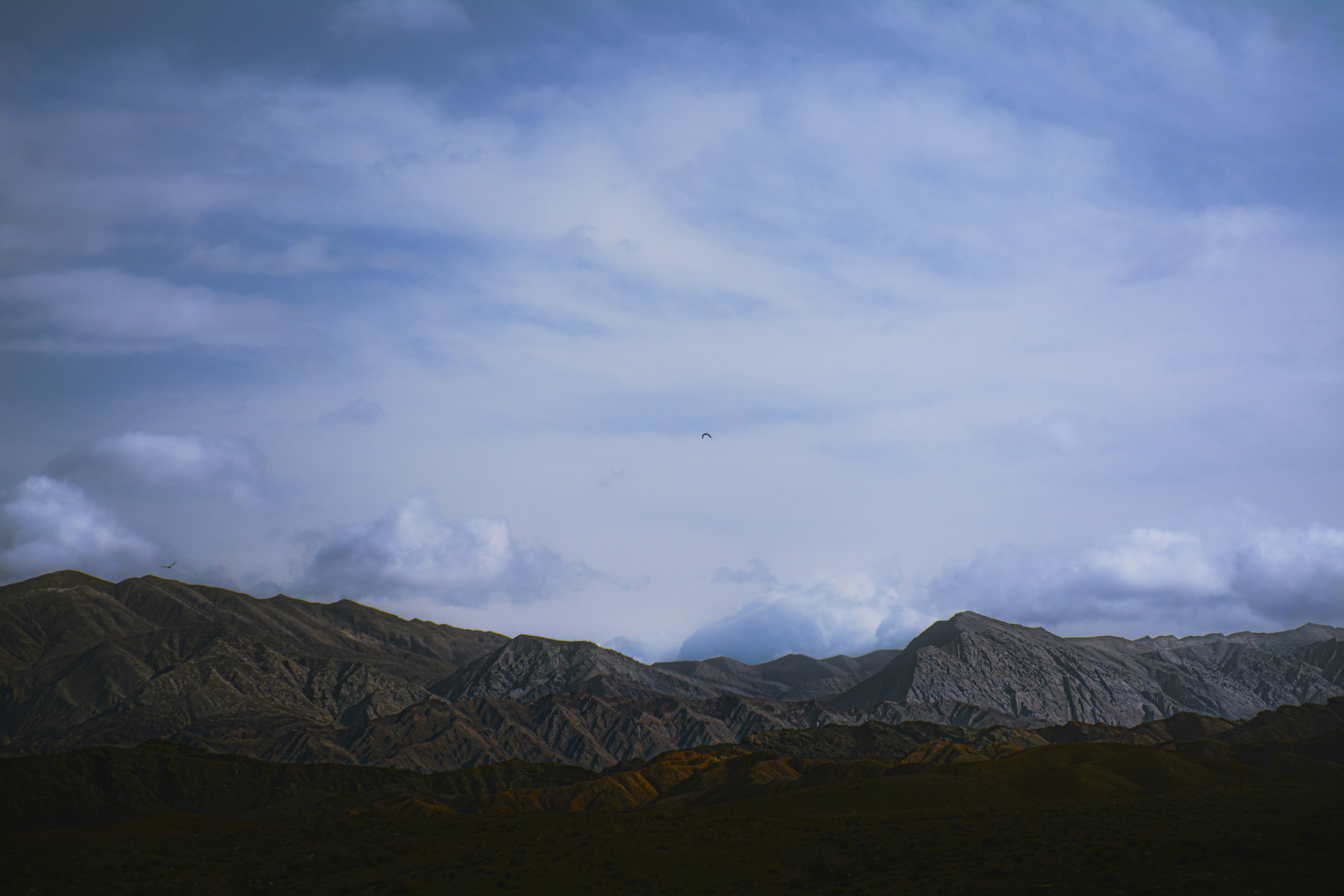a bird flying over a mountain range under a cloudy sky