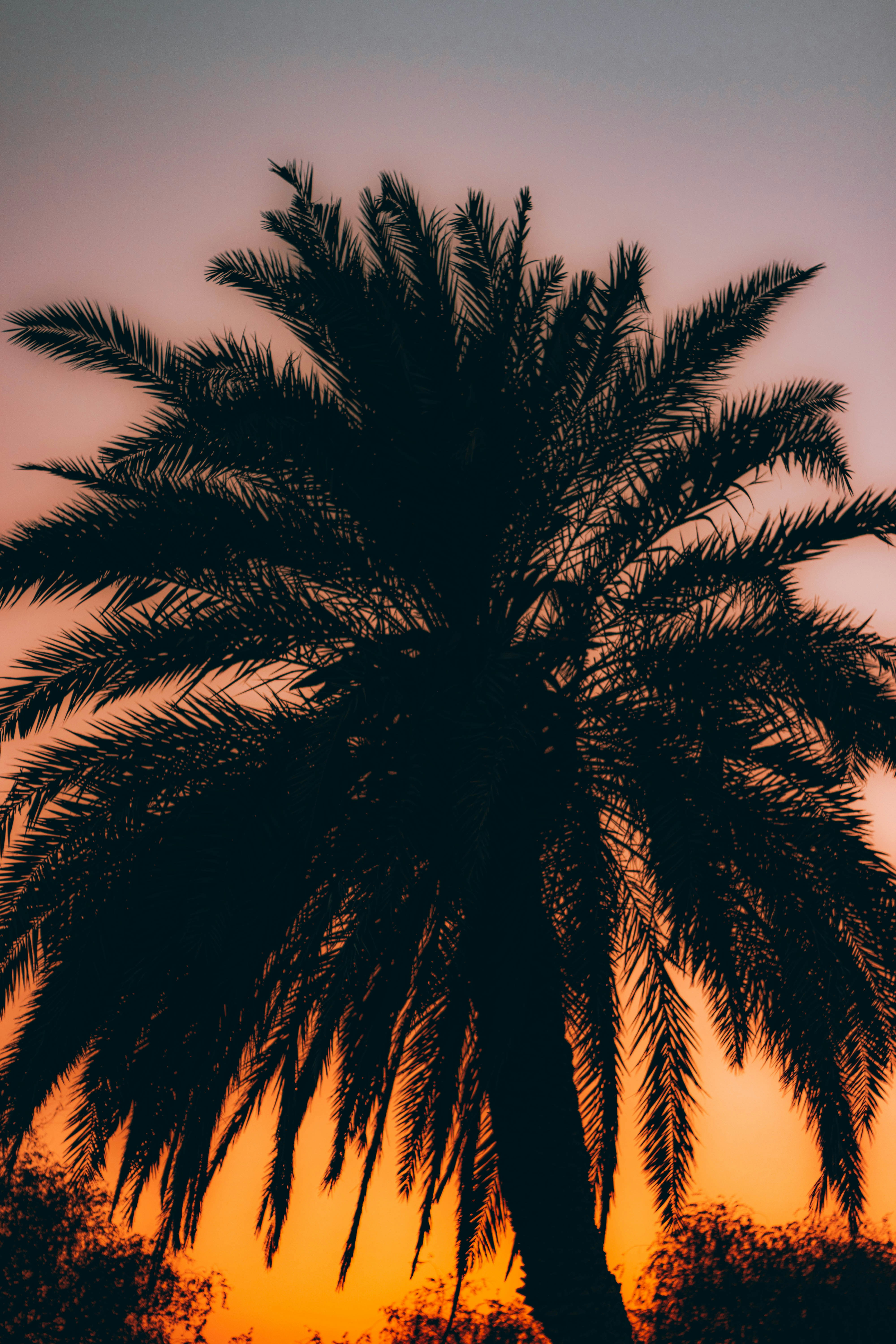 Photo by salaheregouane