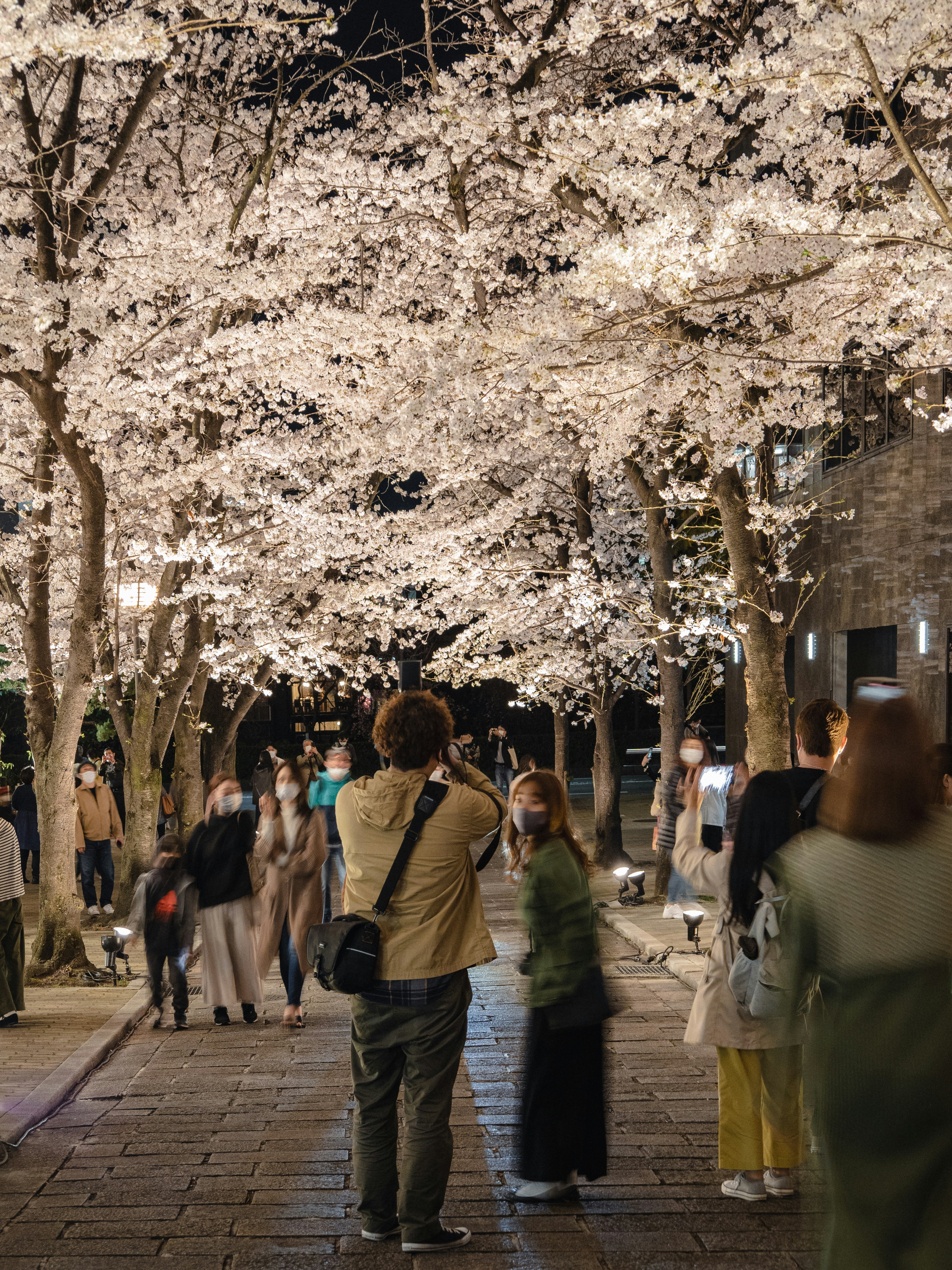 Photo by shellingfordyu