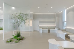 a white room with a tree in the center