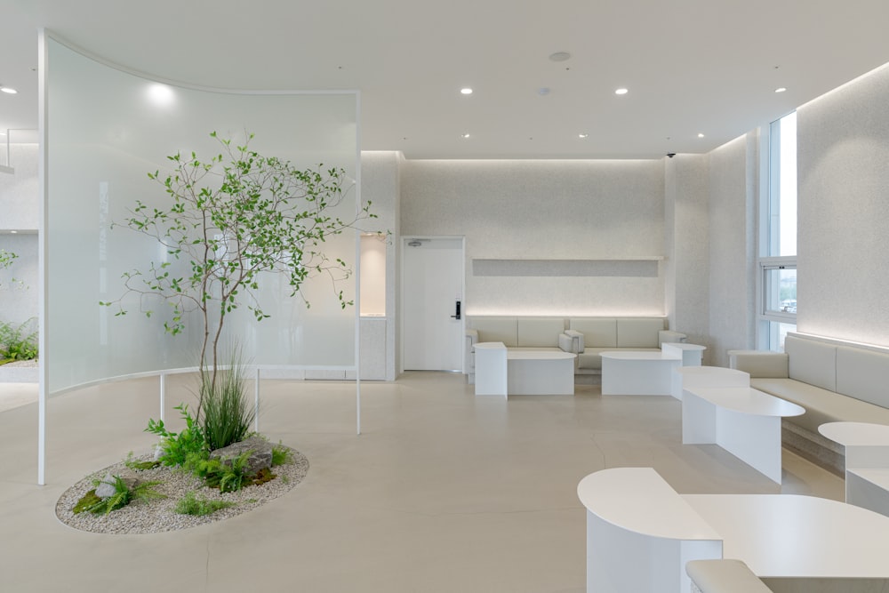 a white room with a tree in the center