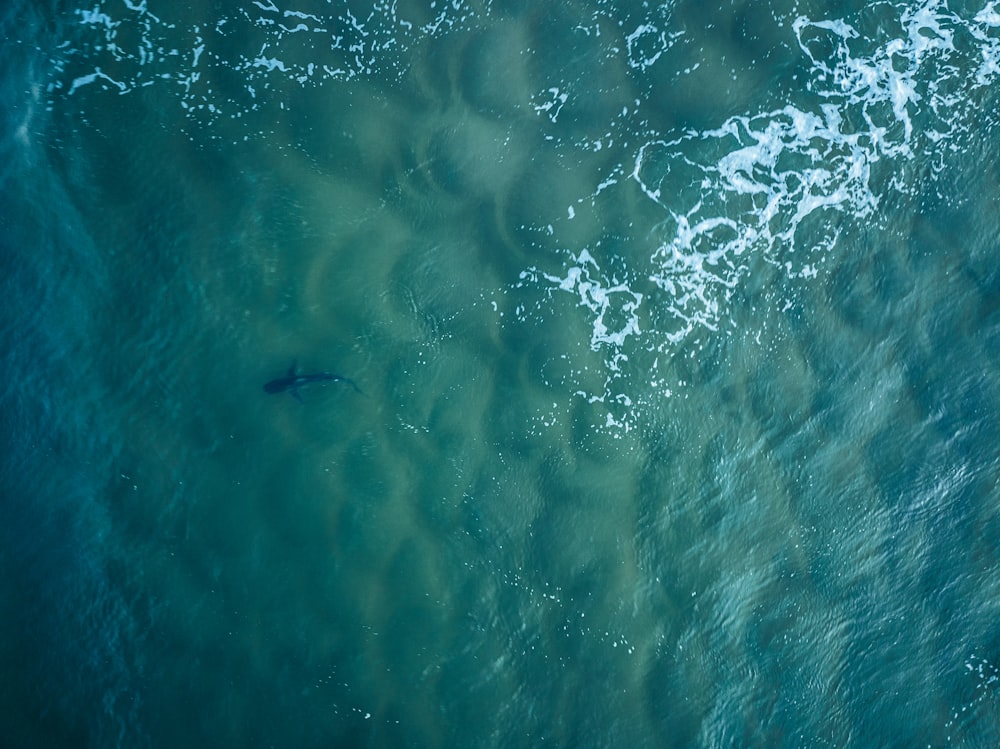 an aerial view of a body of water