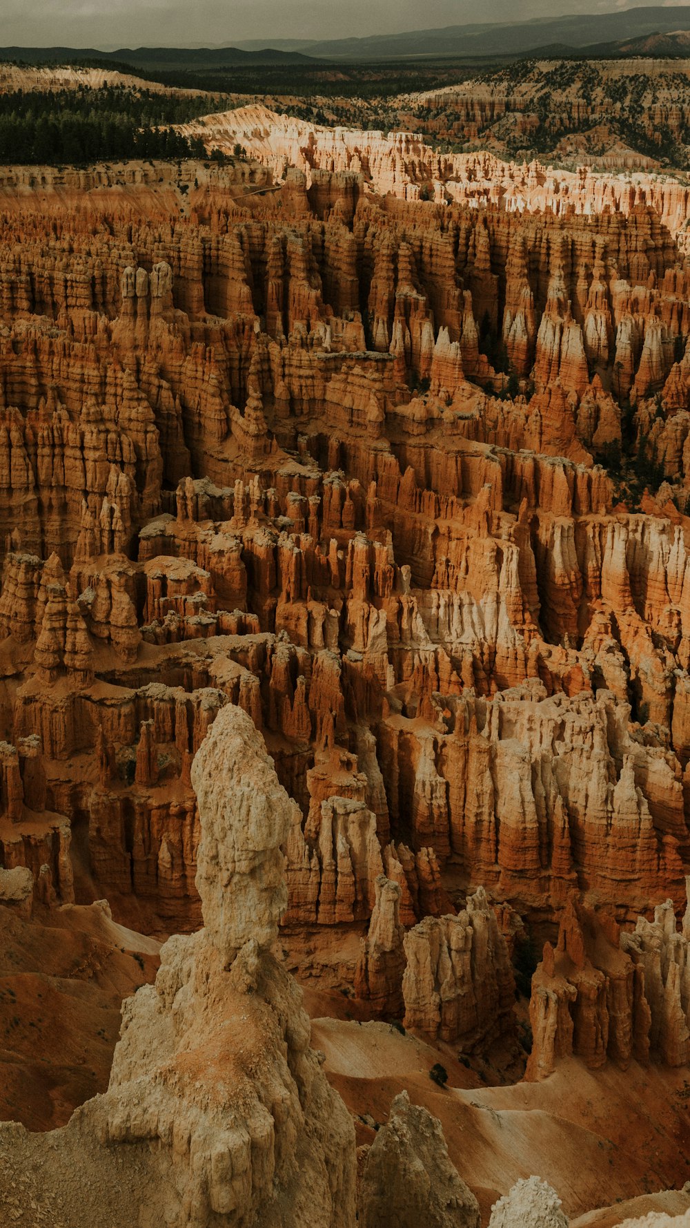 a large group of rocks in the middle of a desert