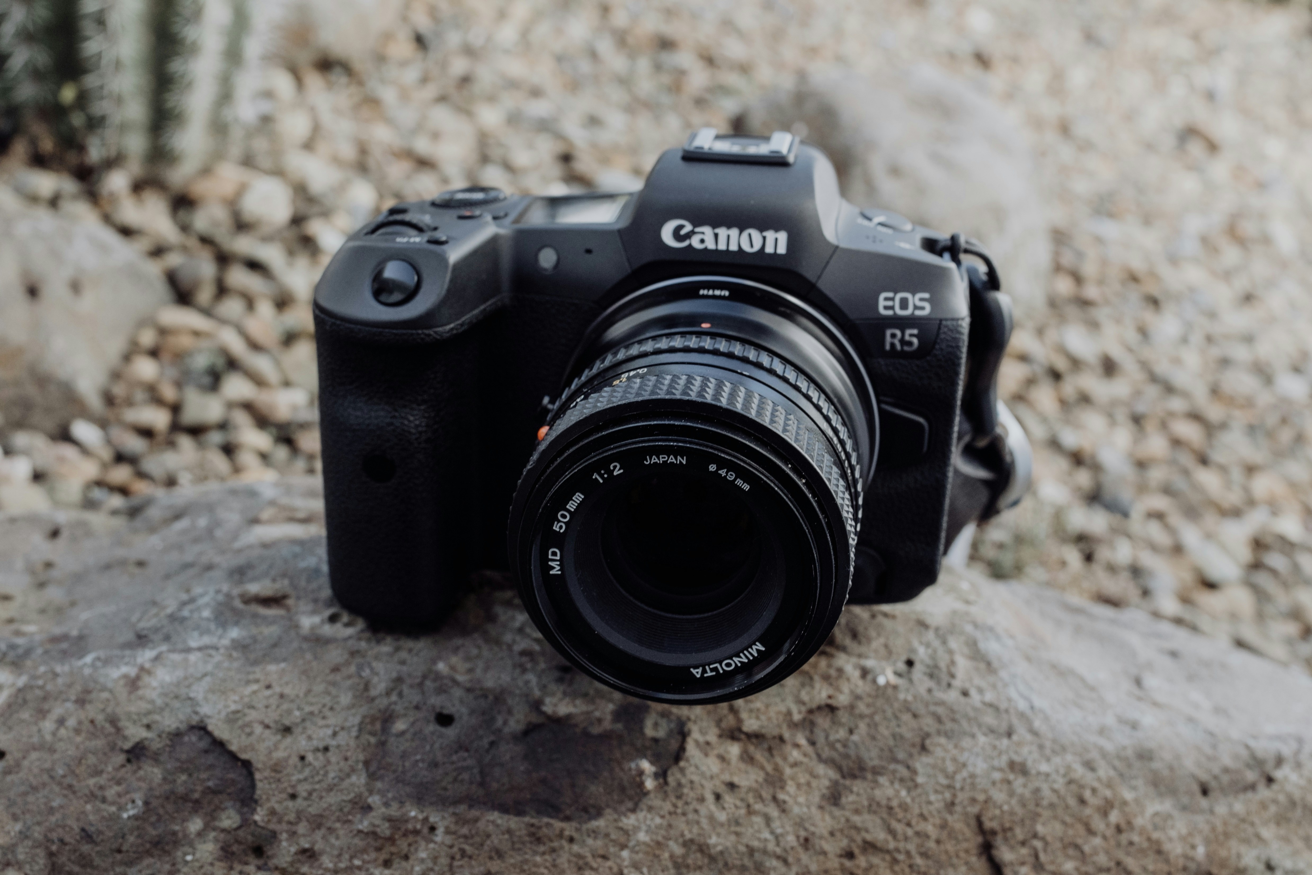 a camera sitting on top of a rock next to a cactus