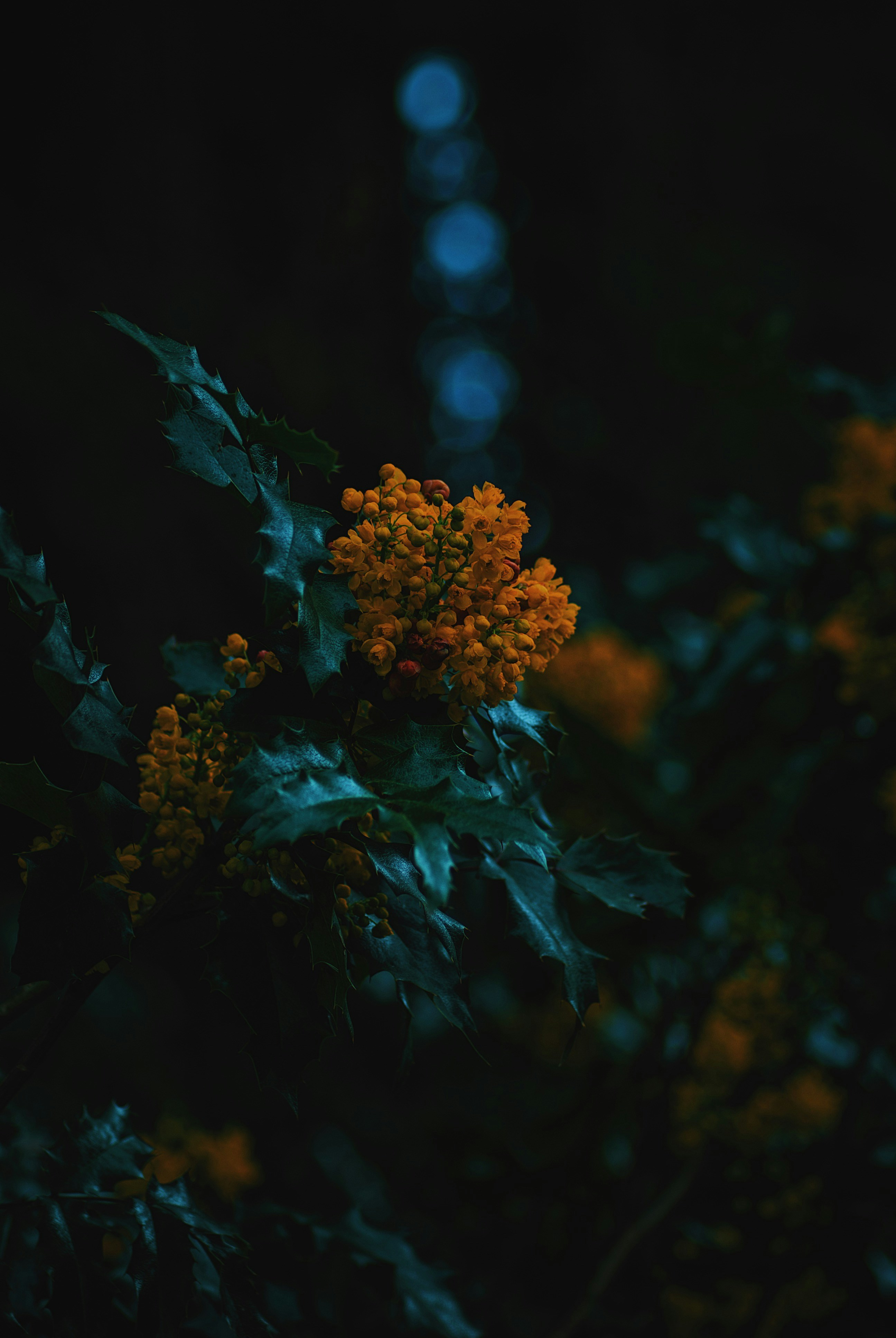 Photo by austinmunoz