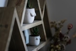 Toilet paper holder featuring a wooden shelf holding a small potted plant.