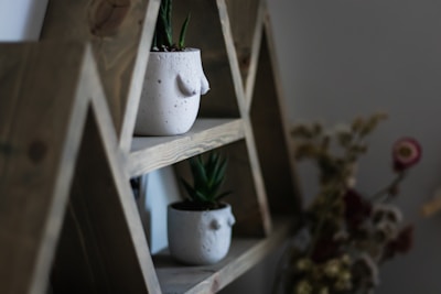 Toilet paper holder featuring a wooden shelf holding a small potted plant.