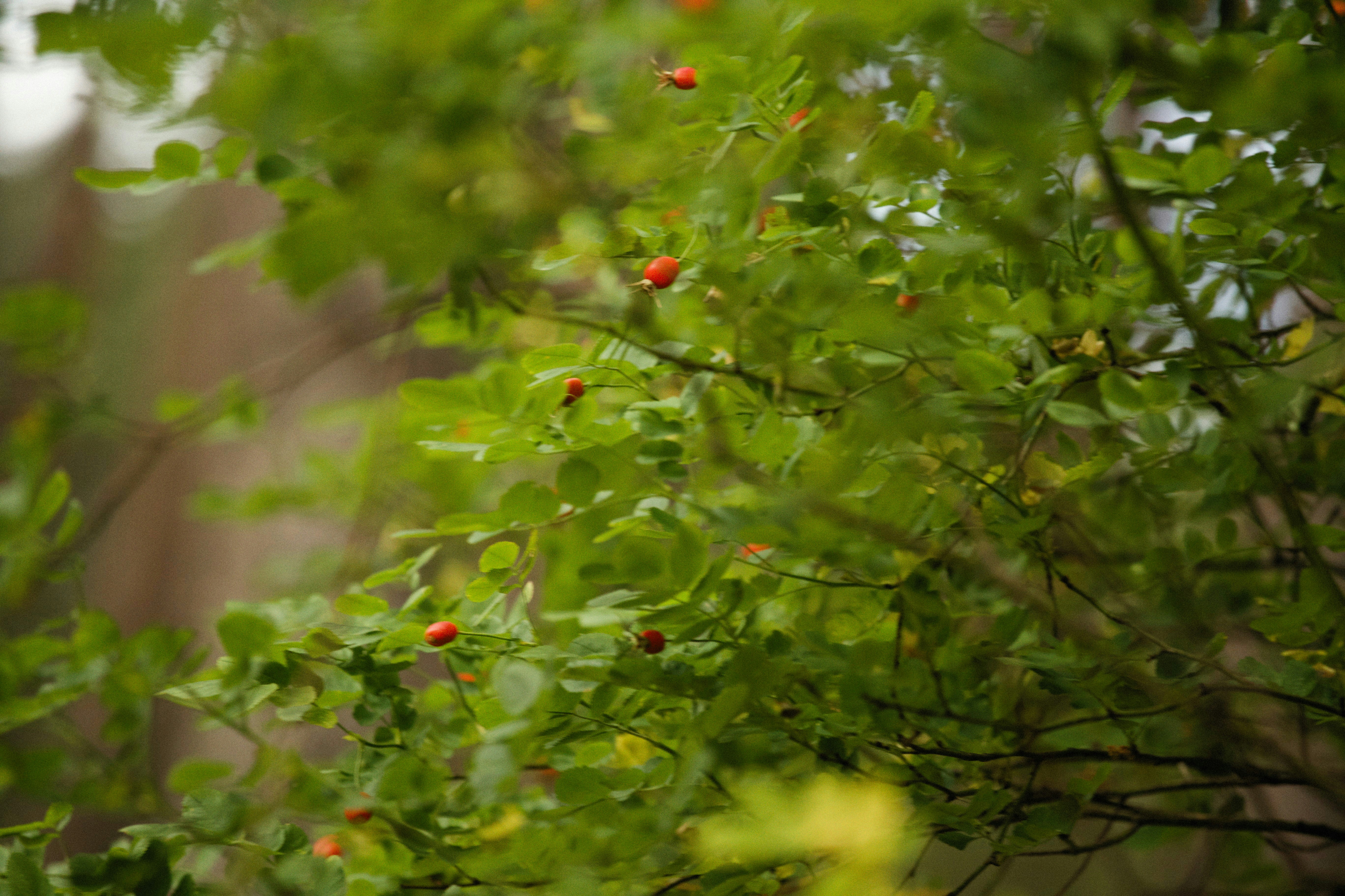 Photo by alexeydemidov