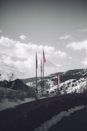 a black and white photo of flags in the snow