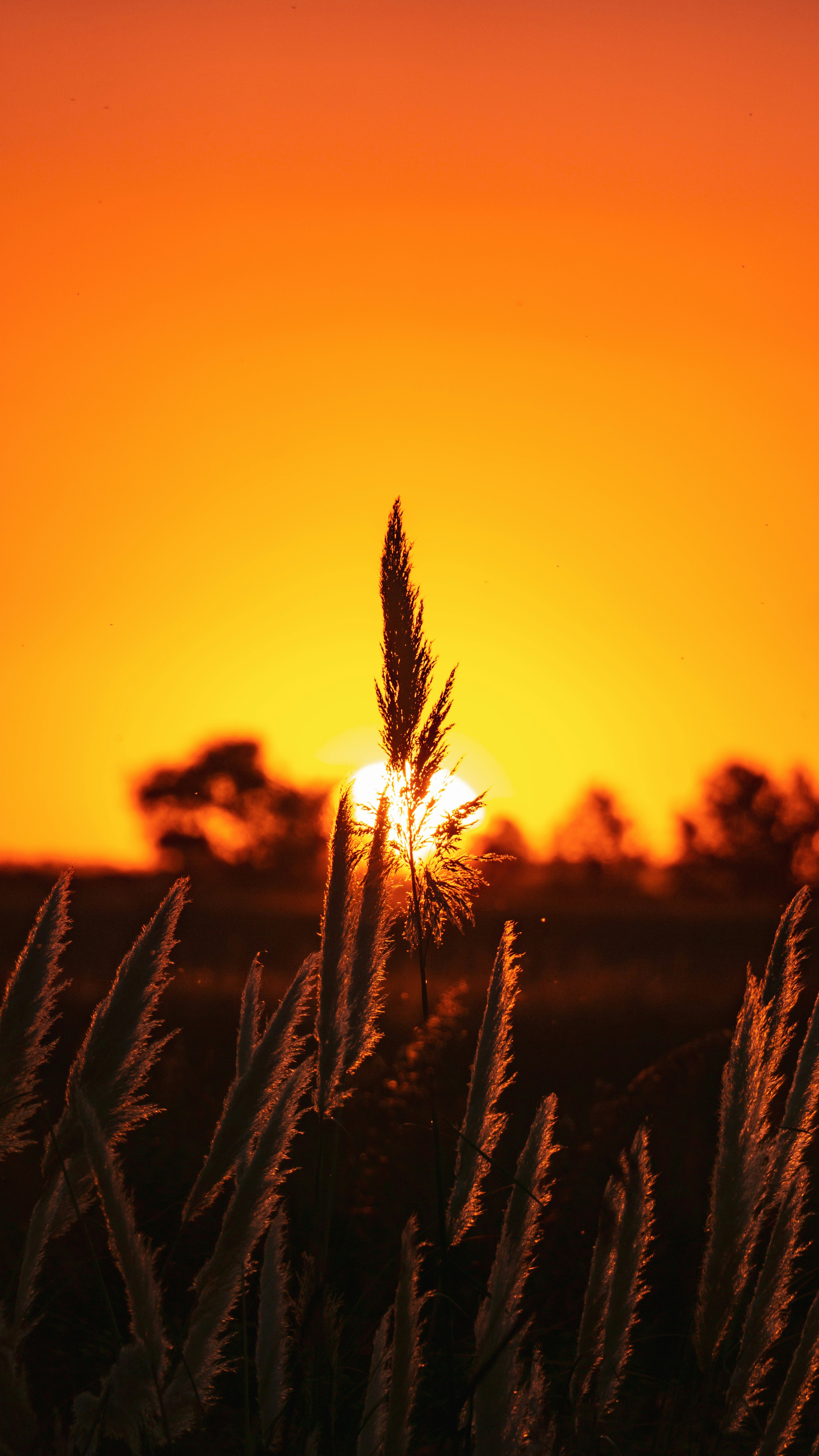 Photo by federicofaccipieri