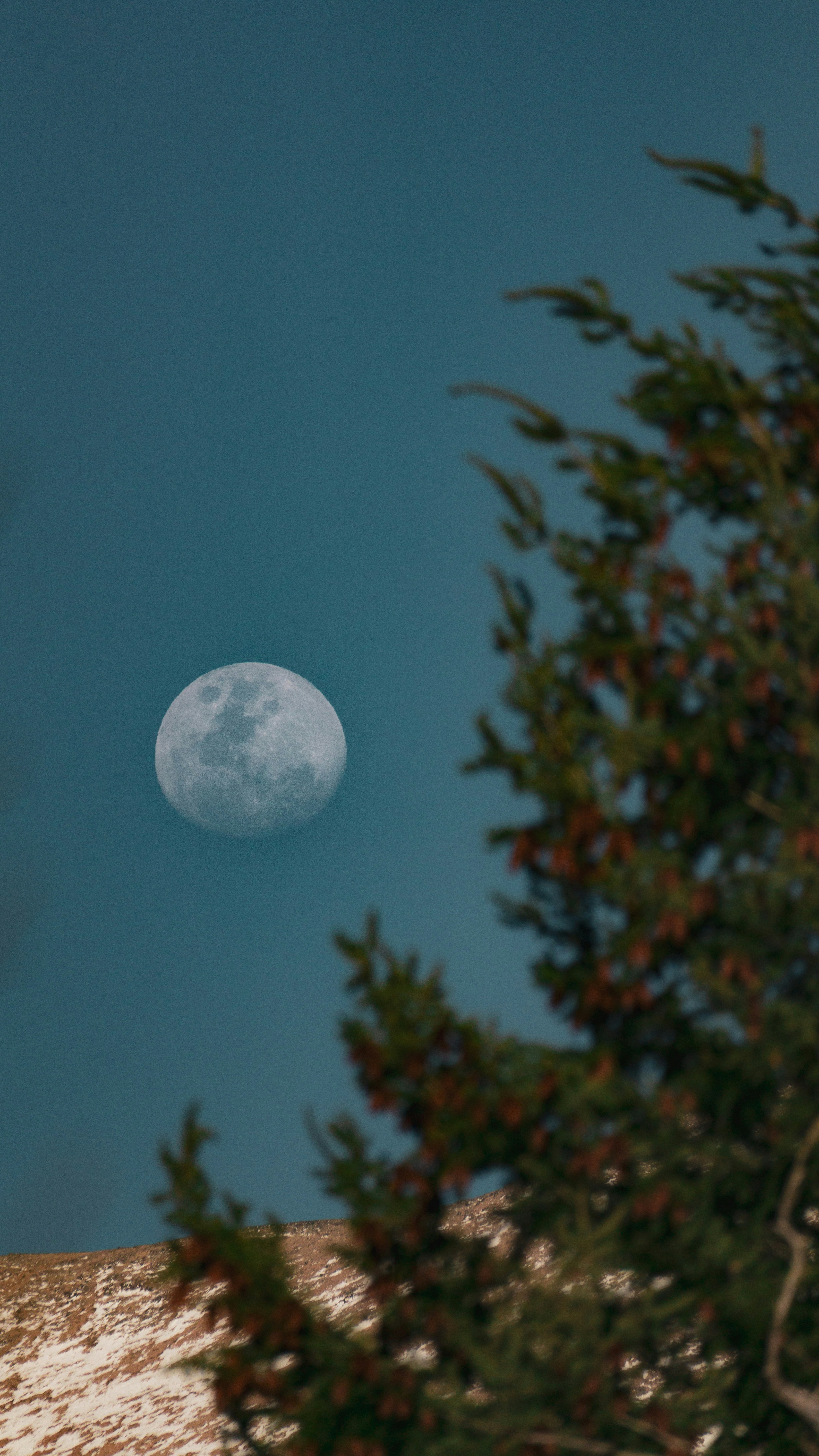 Photo by federicofaccipieri