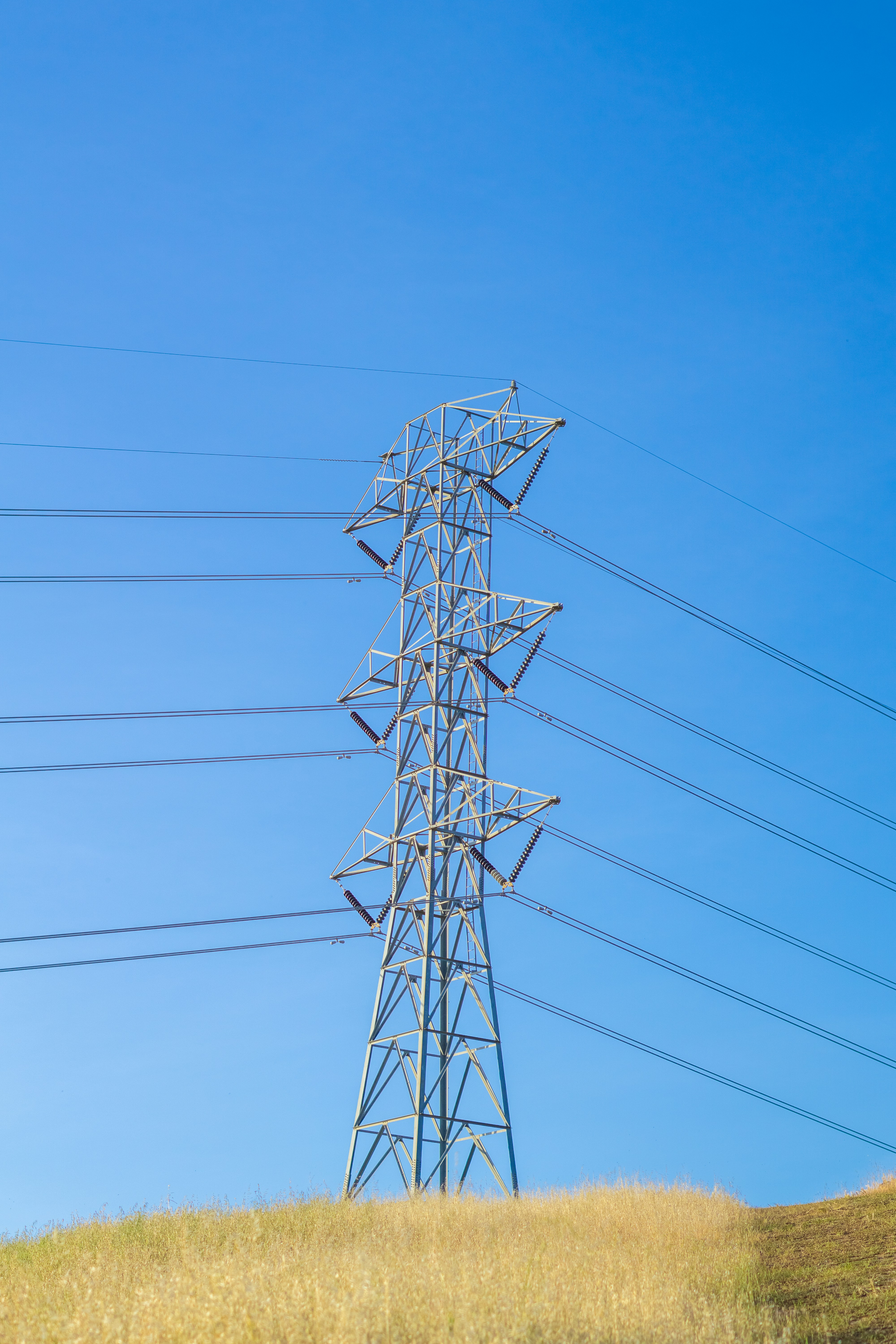 Photo by spencer_demera