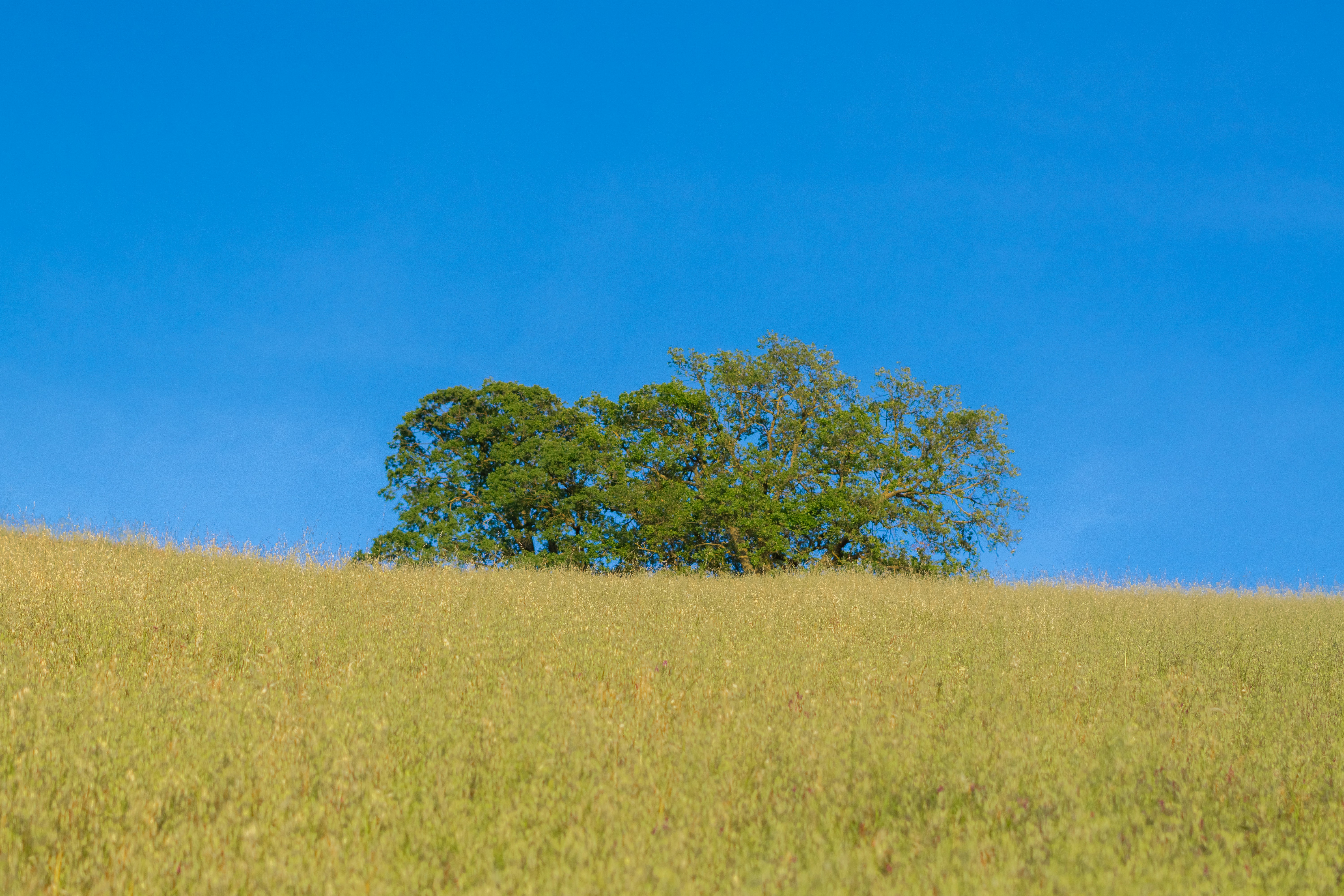 Photo by spencer_demera