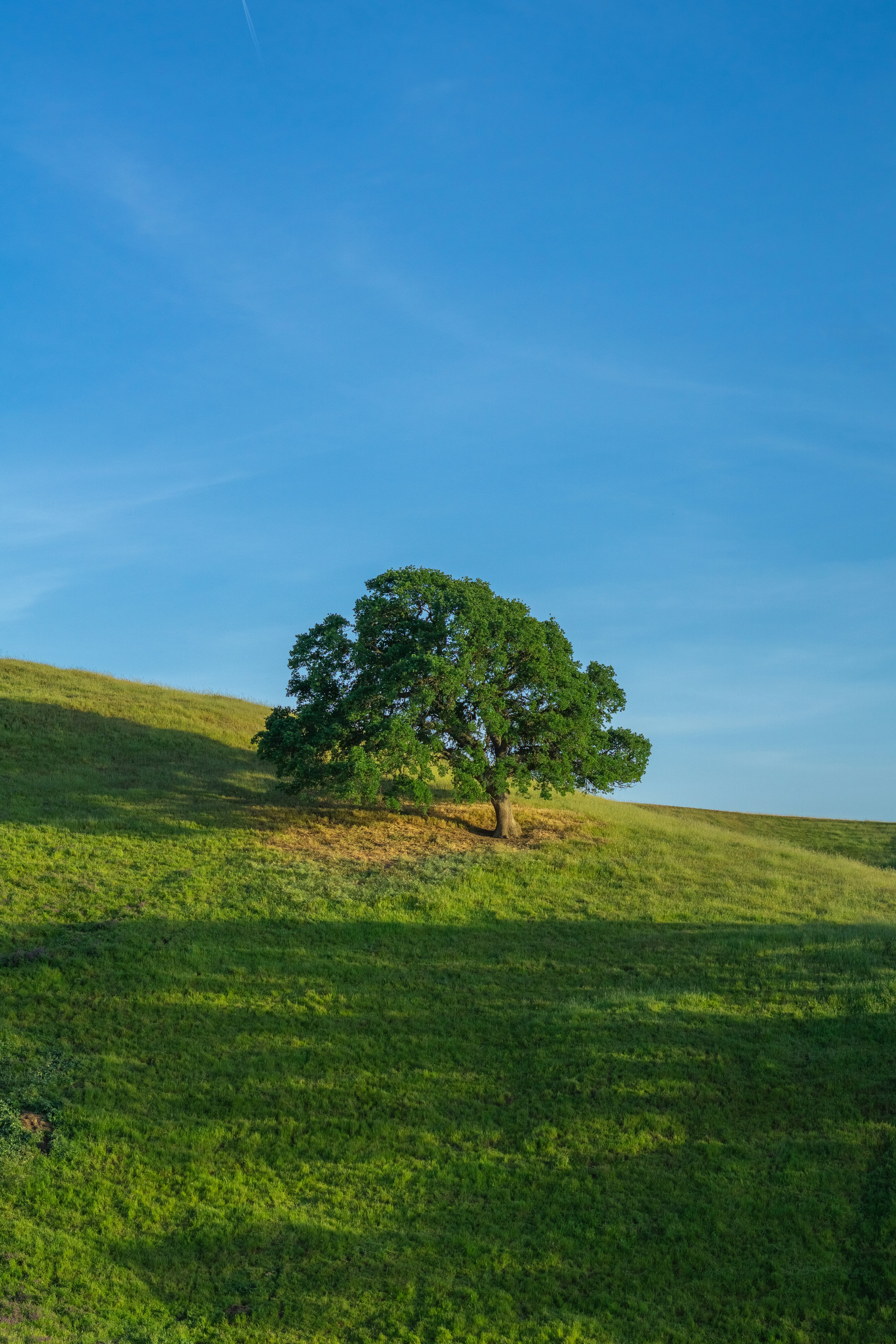 Photo by spencer_demera