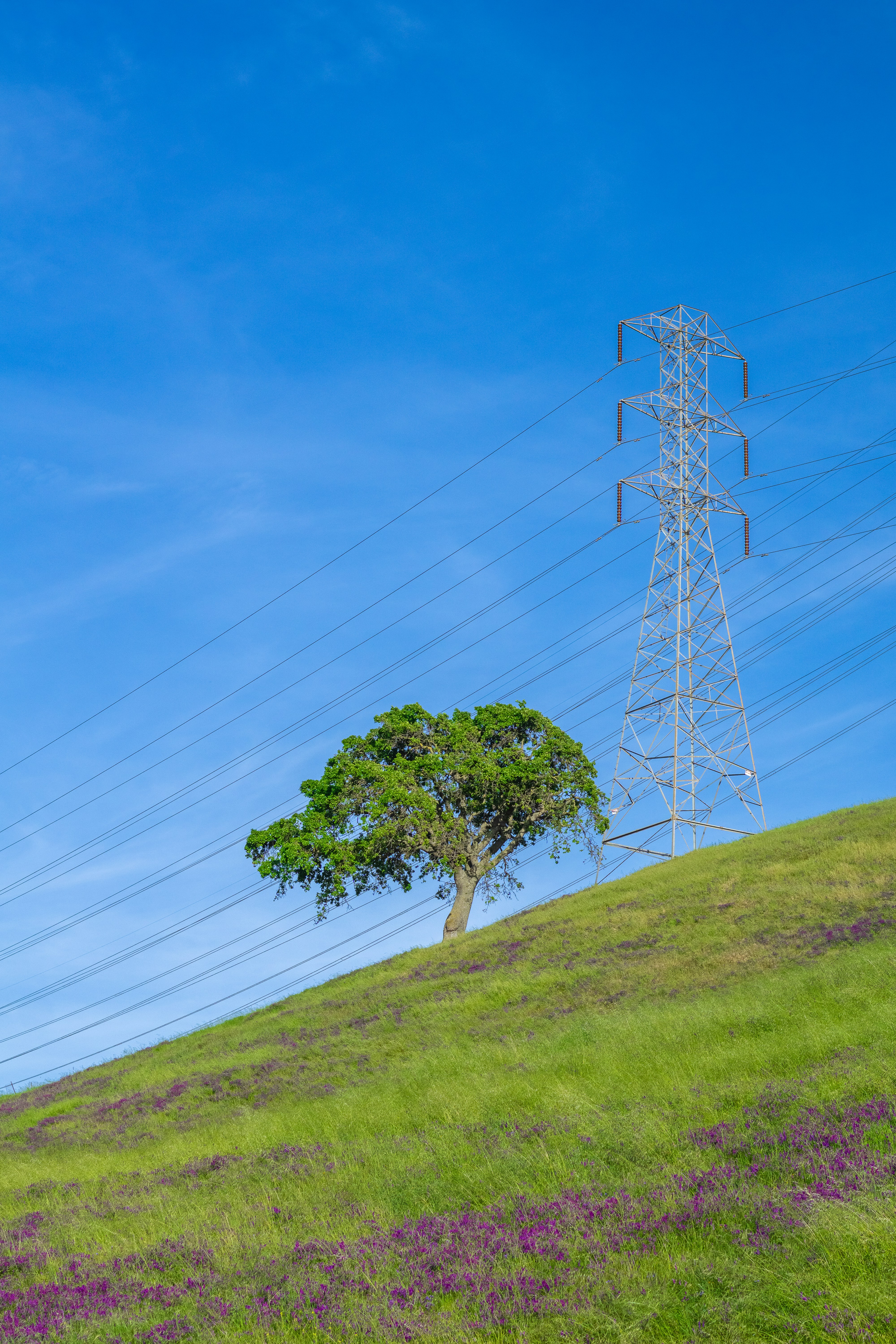 Photo by spencer_demera