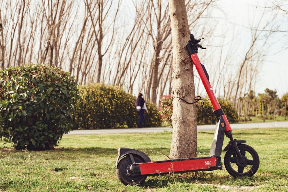 a scooter leaning against a tree in a park