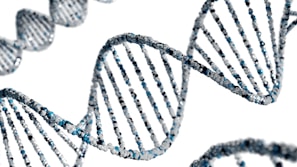 Epigenetics shows that genes are changed from trauma and impact future generations 