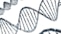 a double strand of blue and white spirals