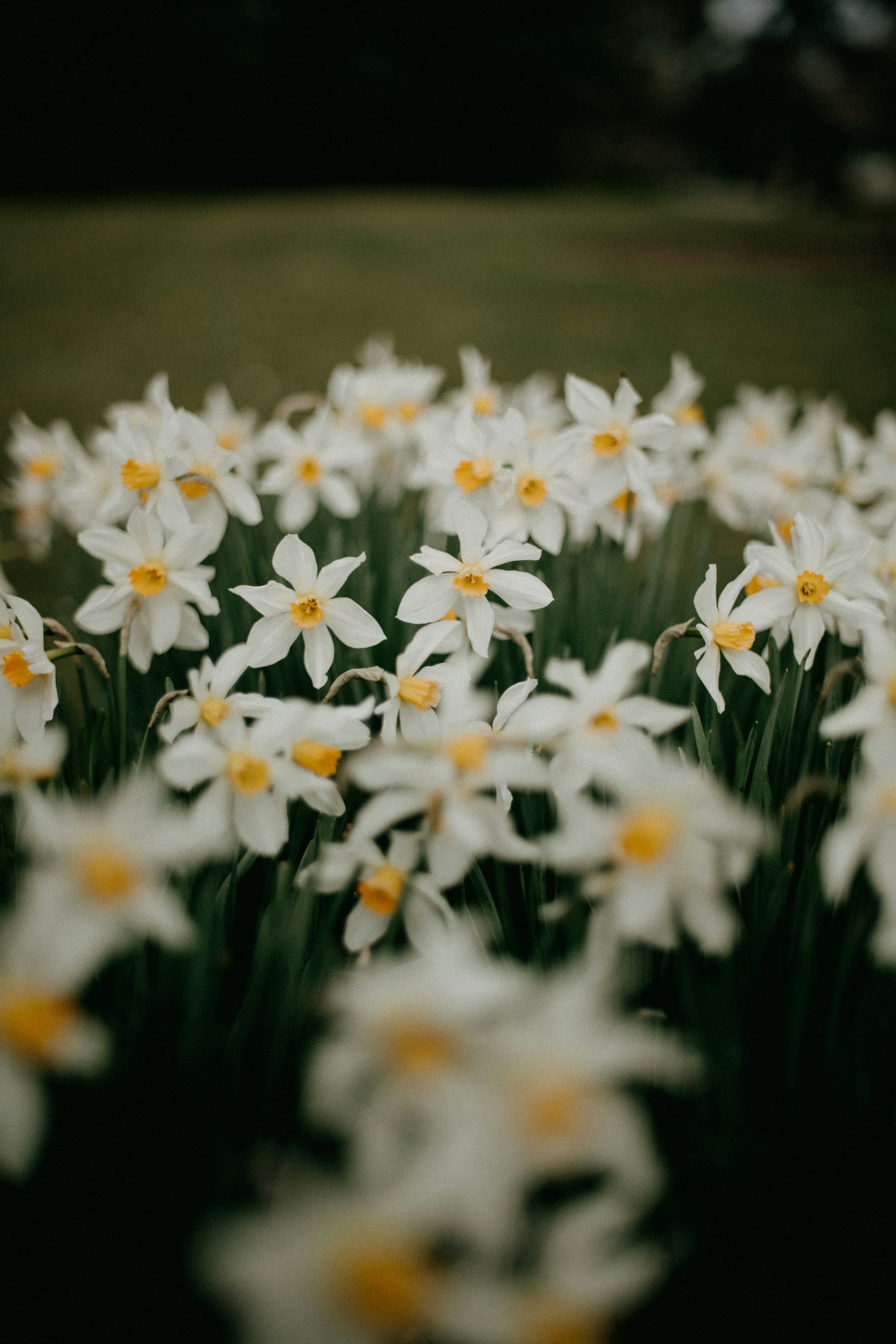 Photo by anniespratt