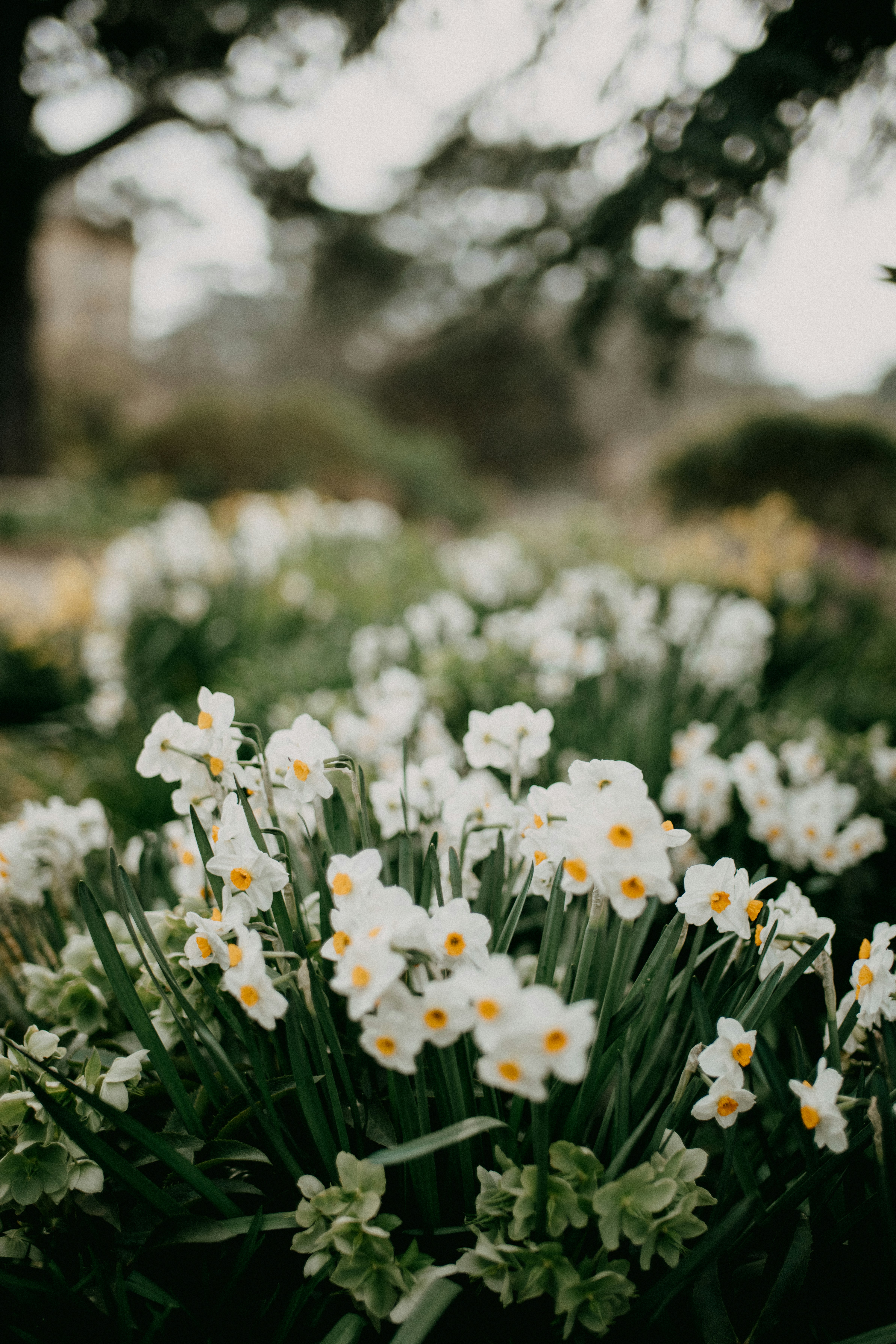 Photo by anniespratt