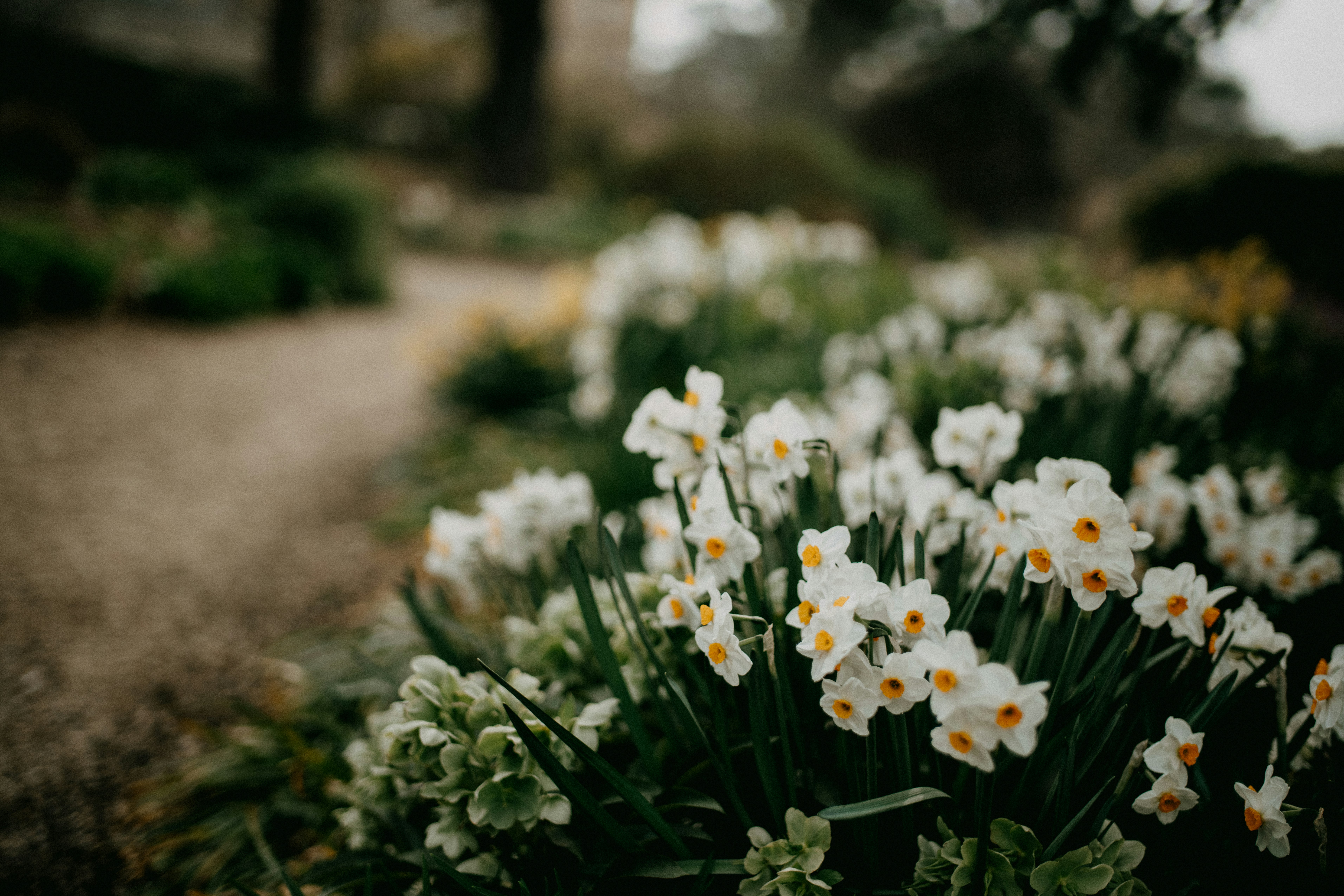 Photo by anniespratt