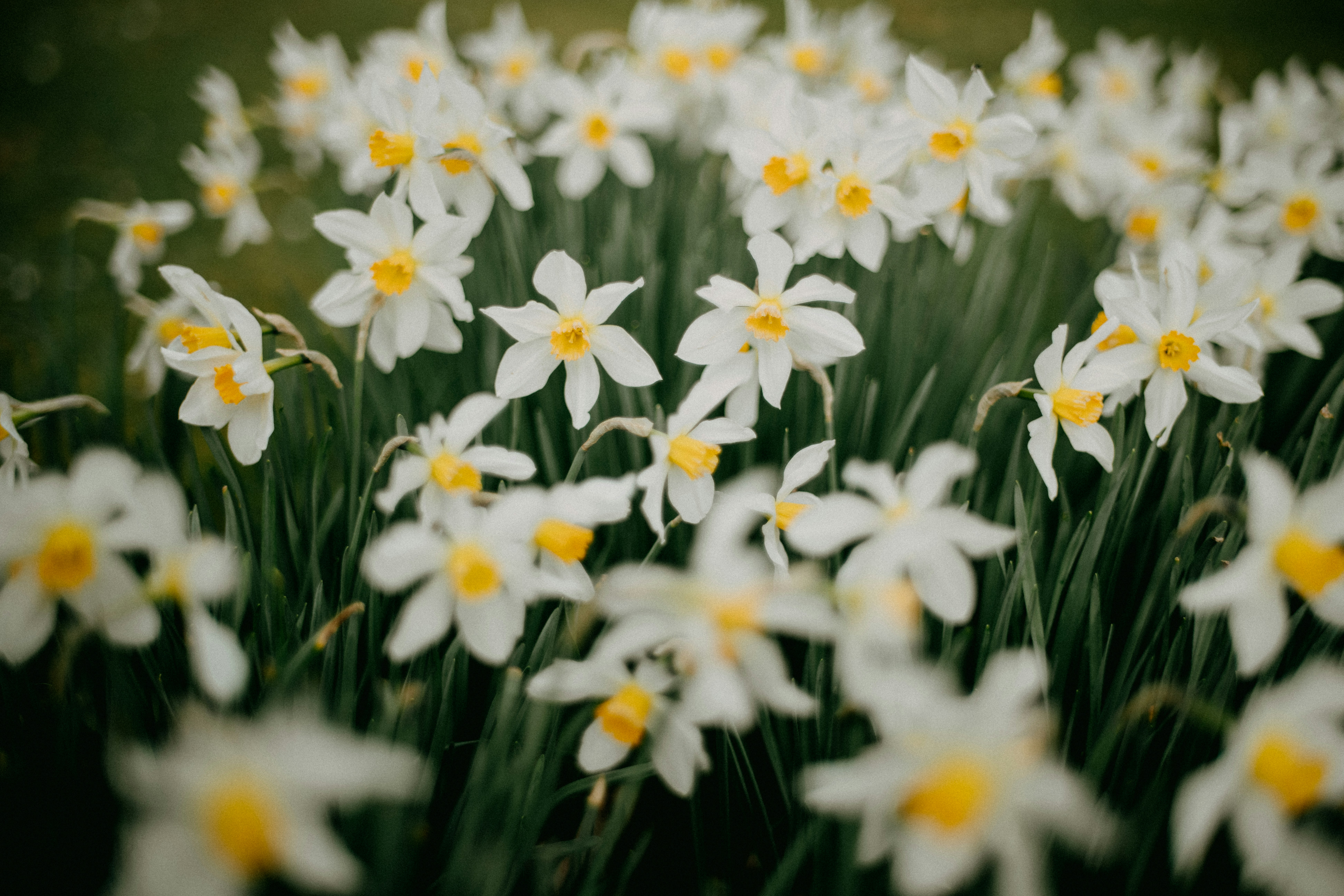 Photo by anniespratt