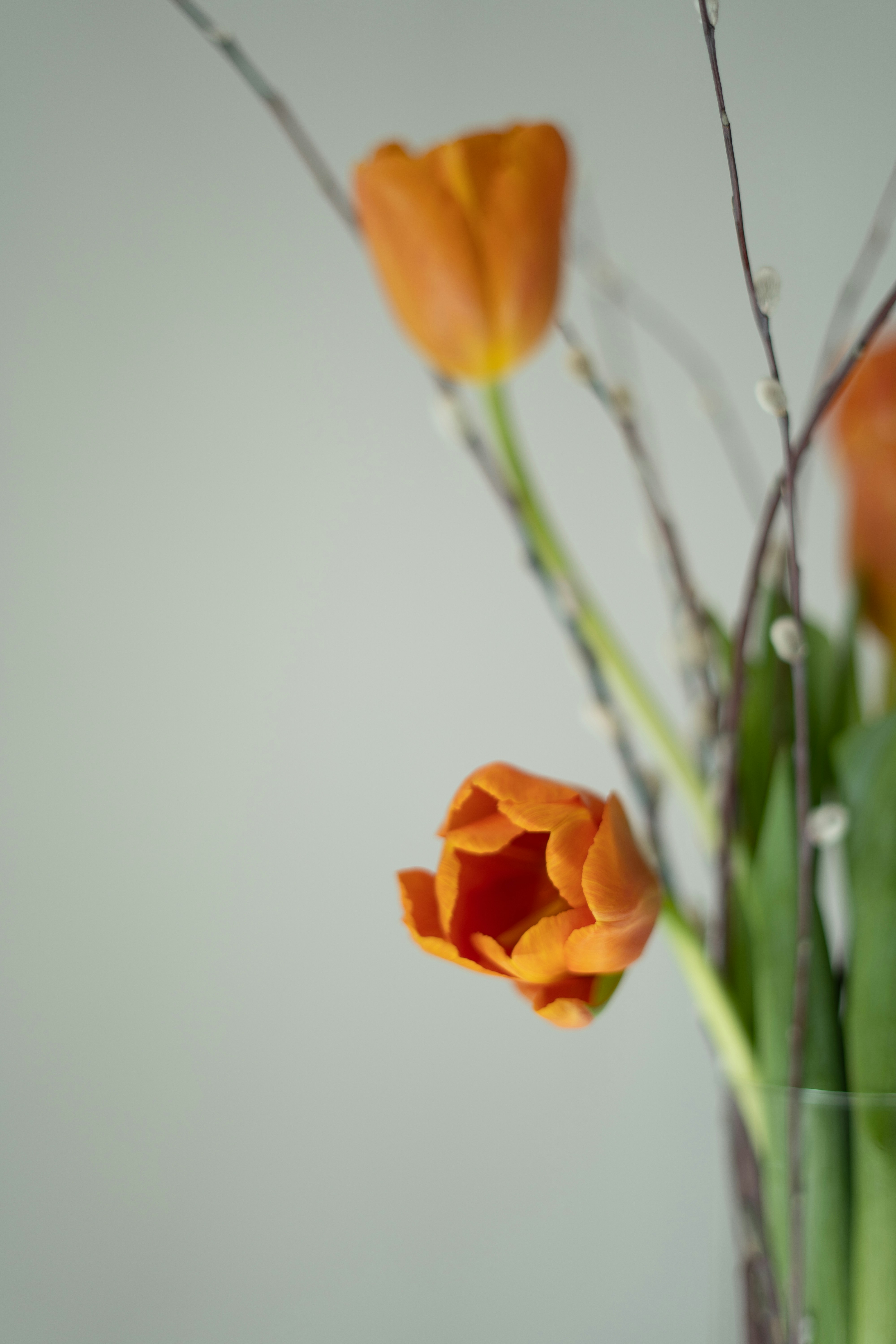 Photo by albina___white