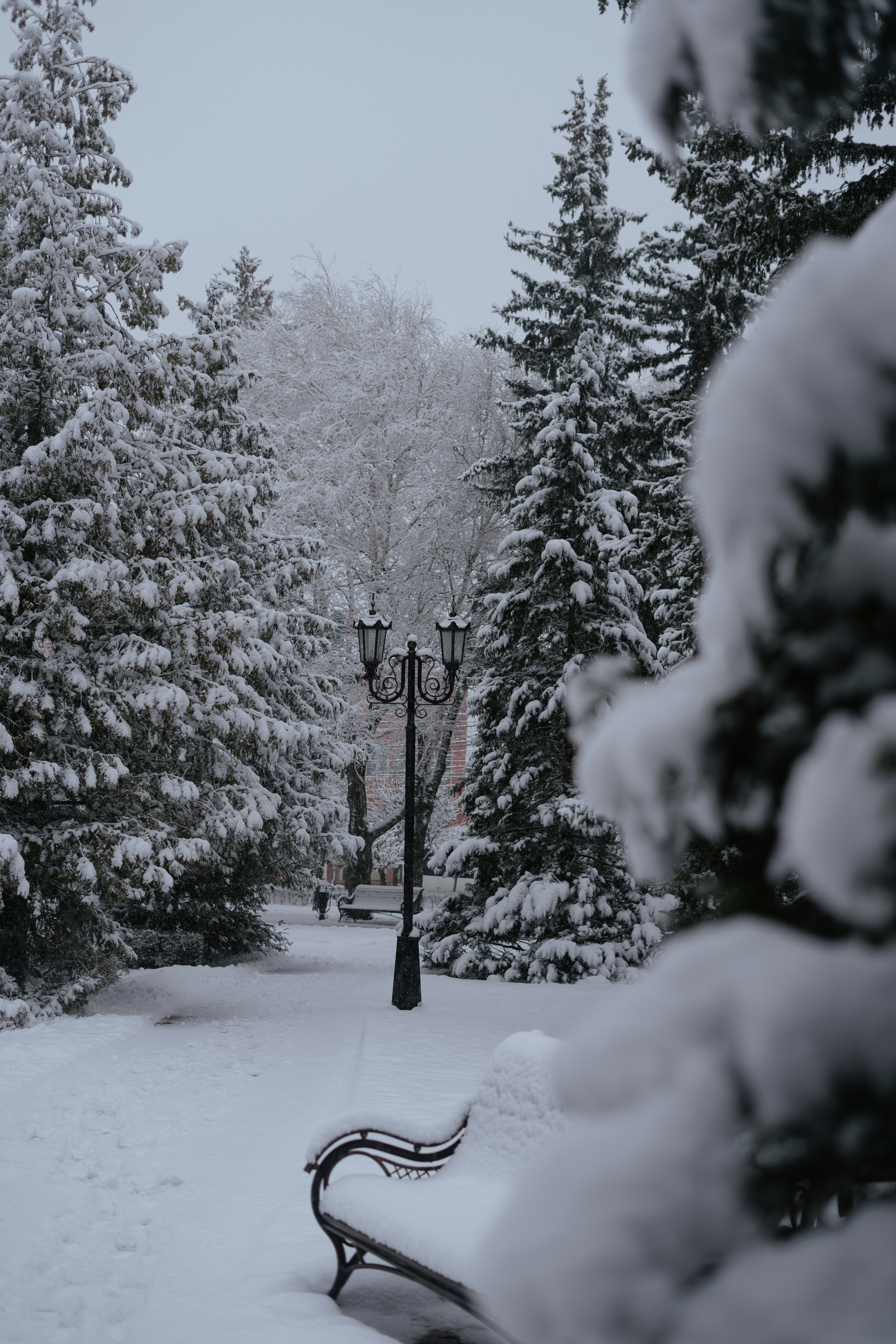 Photo by albina___white