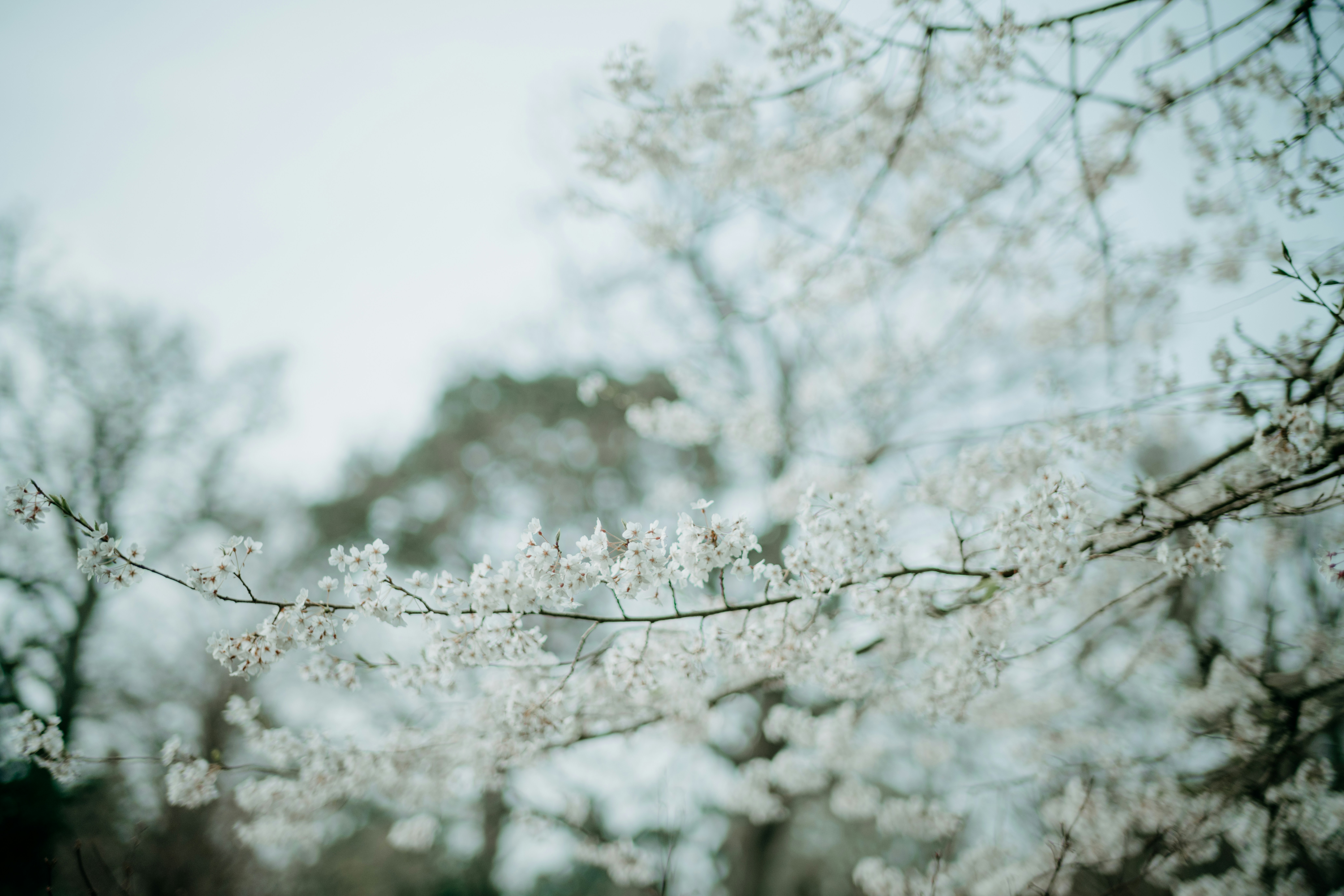 Photo by anniespratt