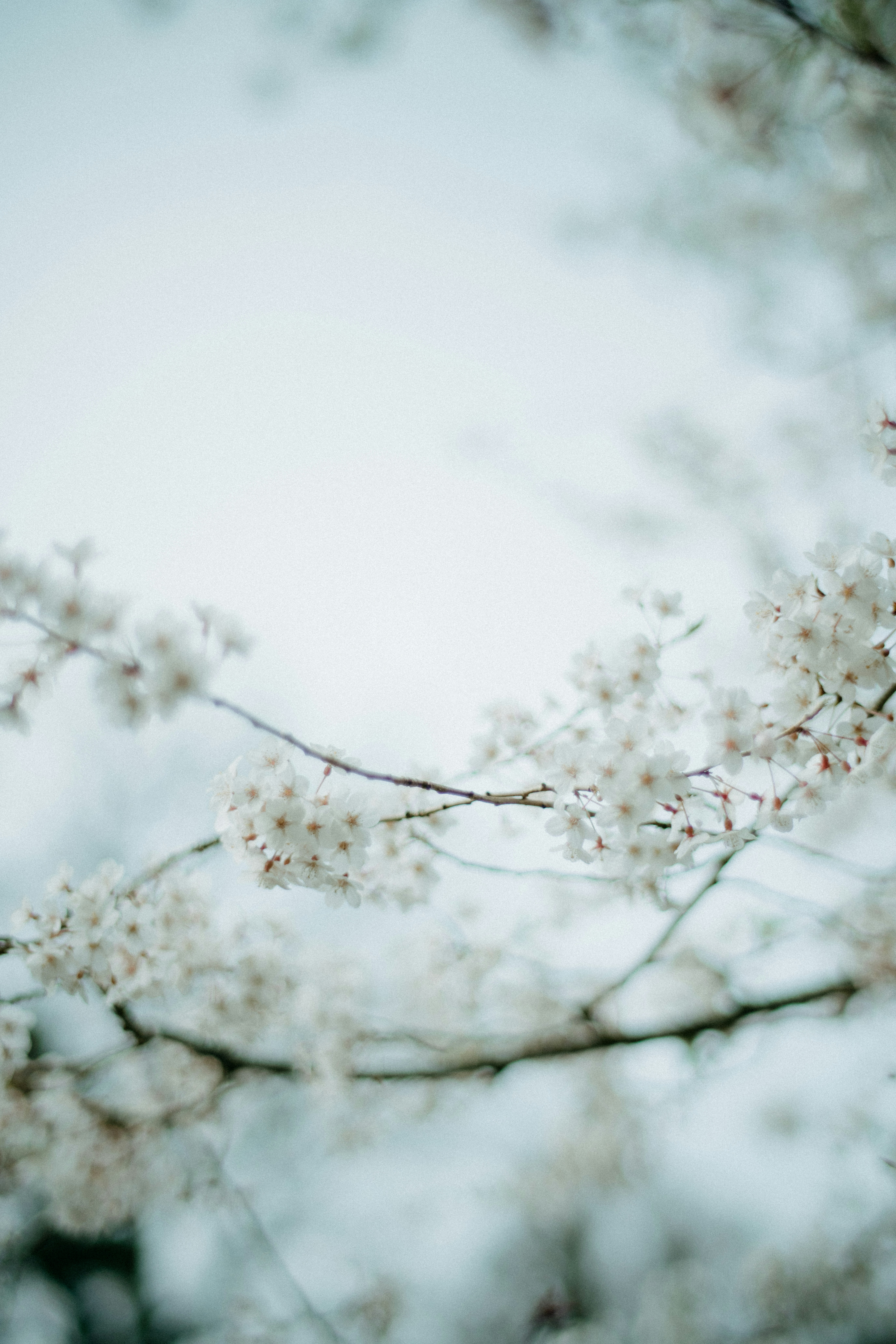 Photo by anniespratt