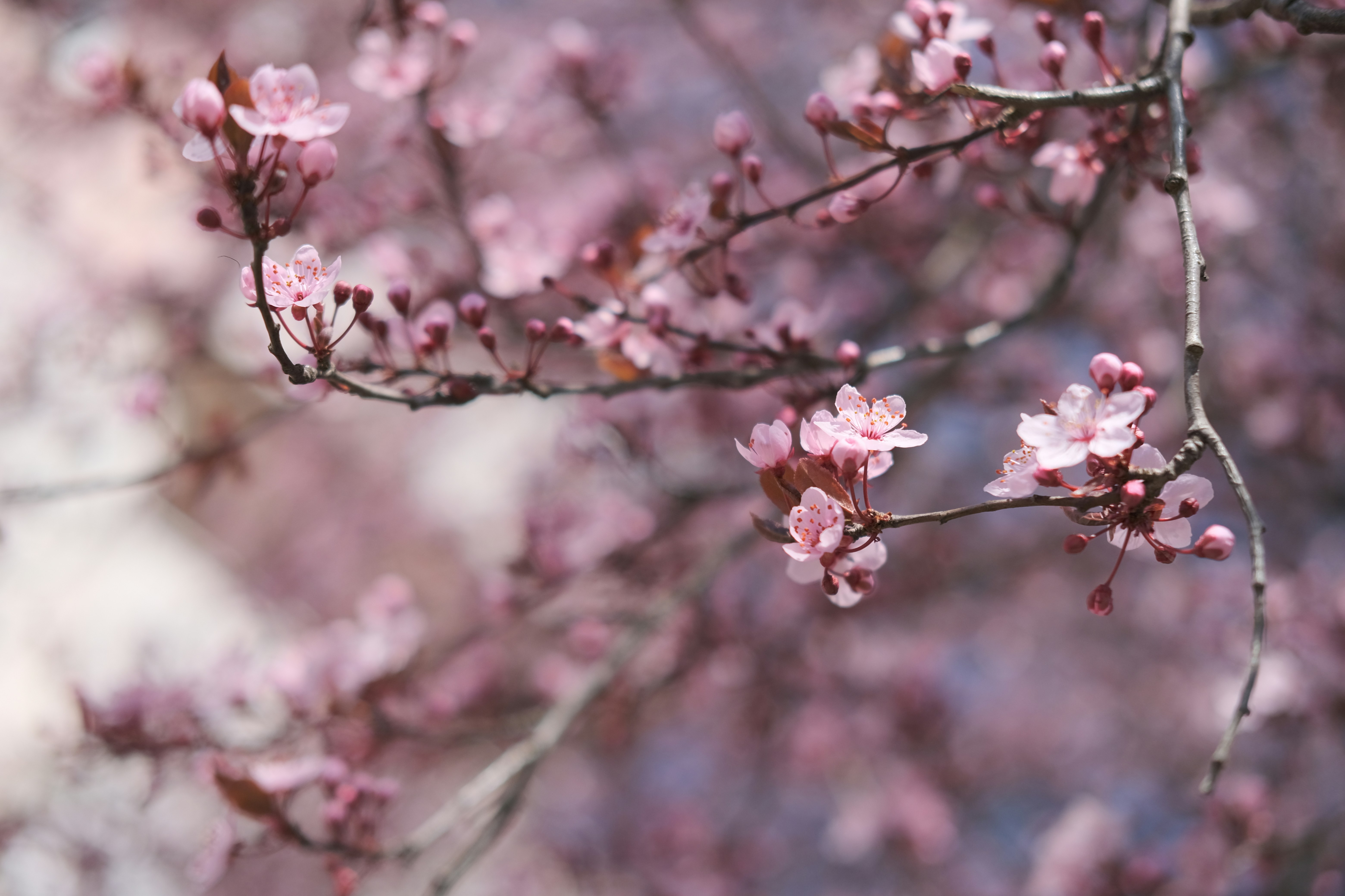 Photo by marjan_photo