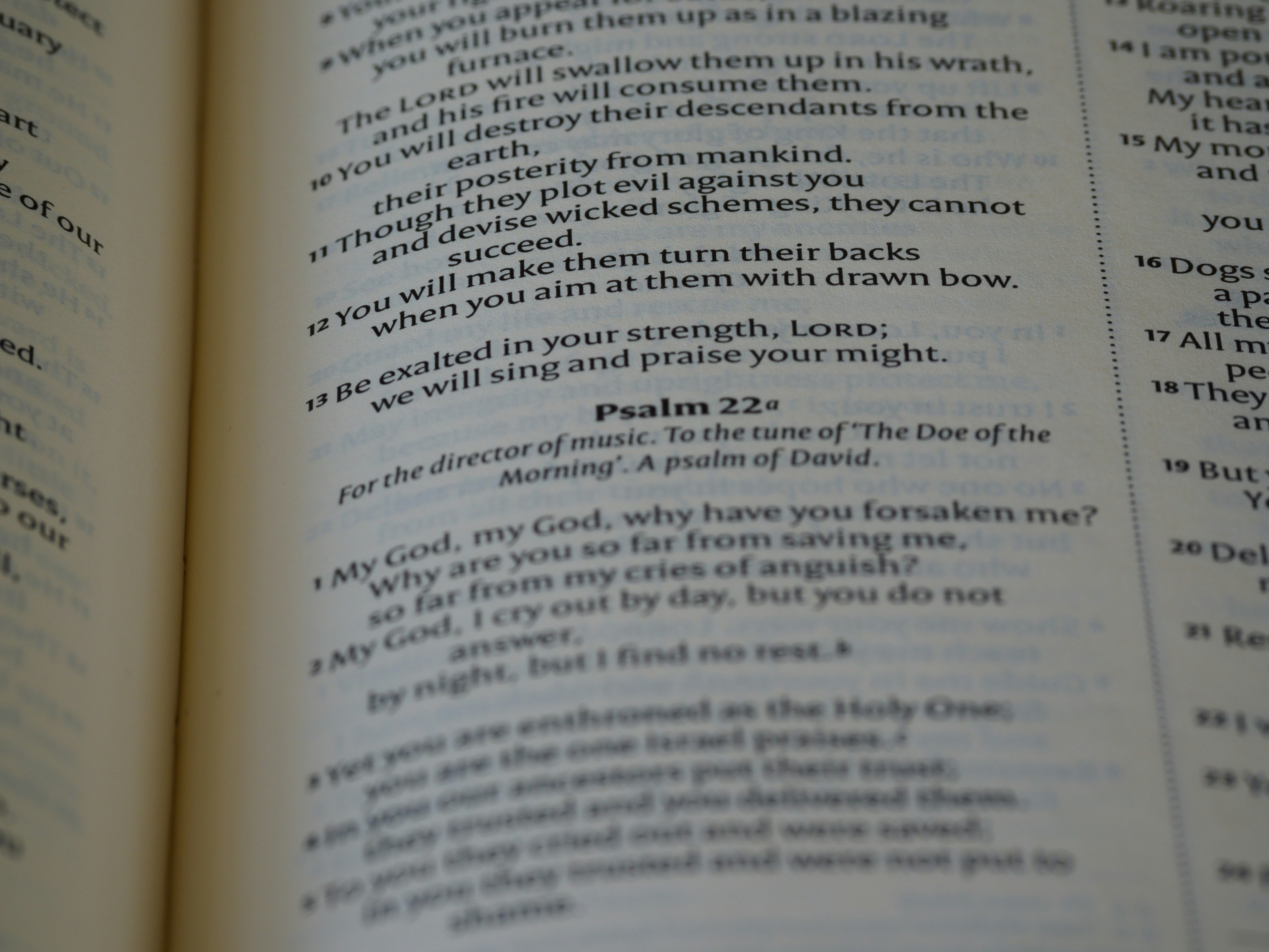 Photo by brett_jordan