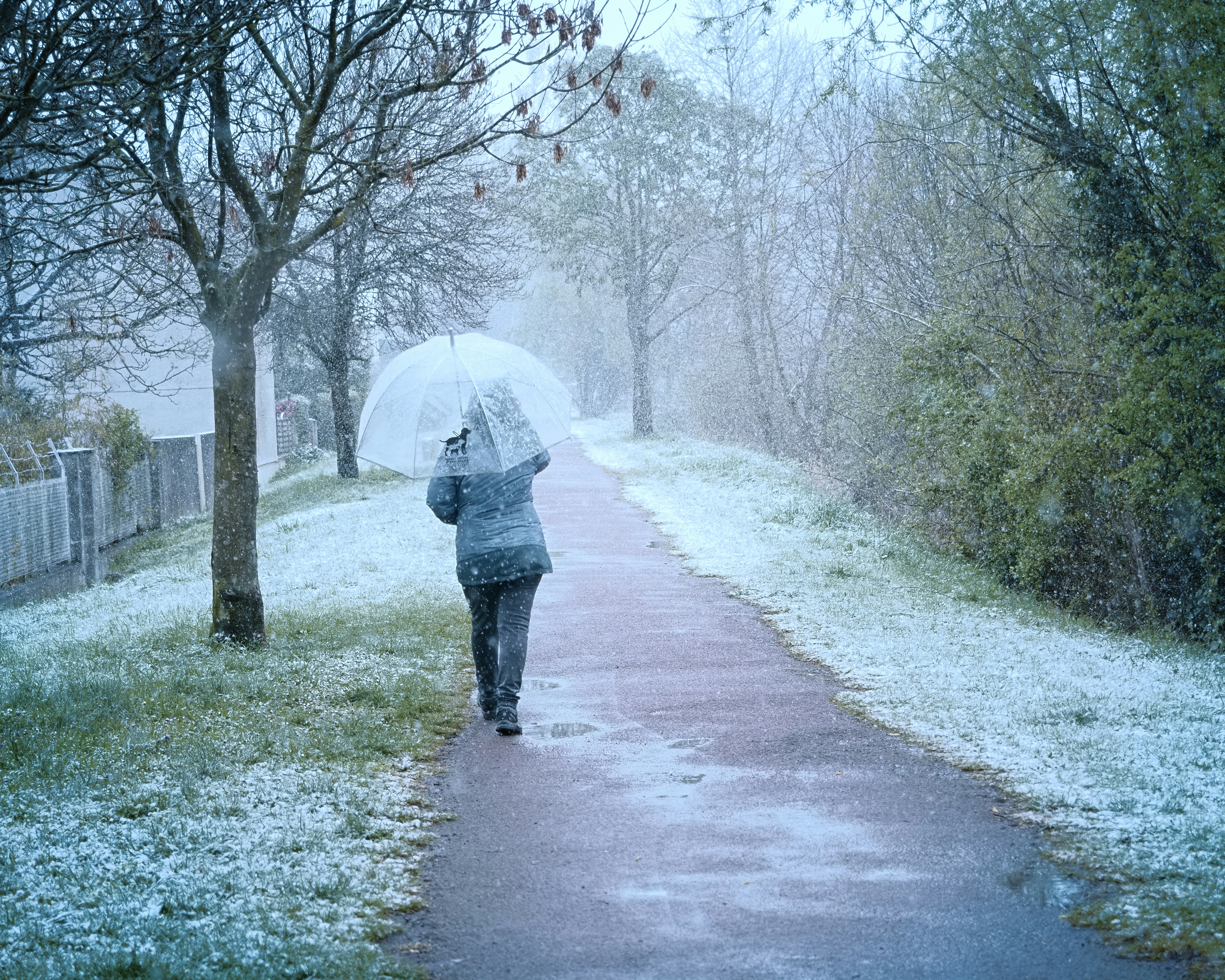 uma pessoa andando por um caminho na neve com um guarda-chuva