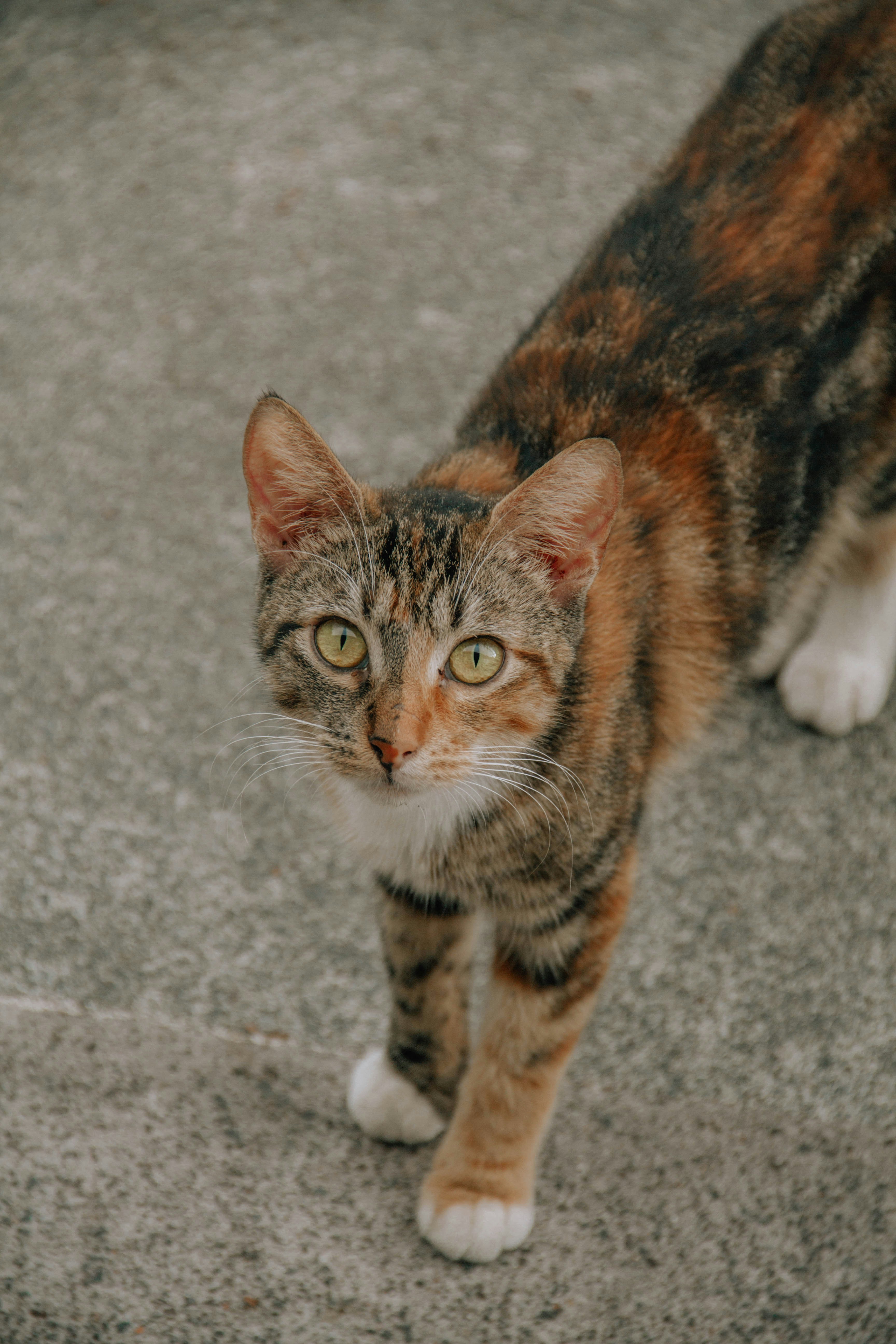 Photo by ingridmartinussen