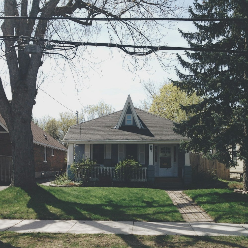 a house with a large tree in front of it