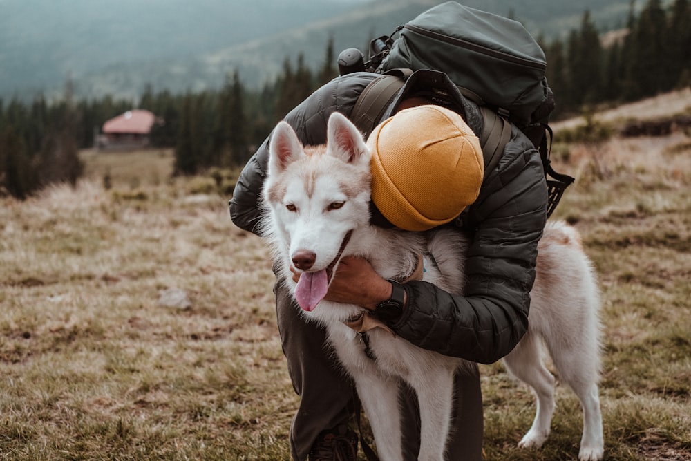 a man carrying a dog in his back pack