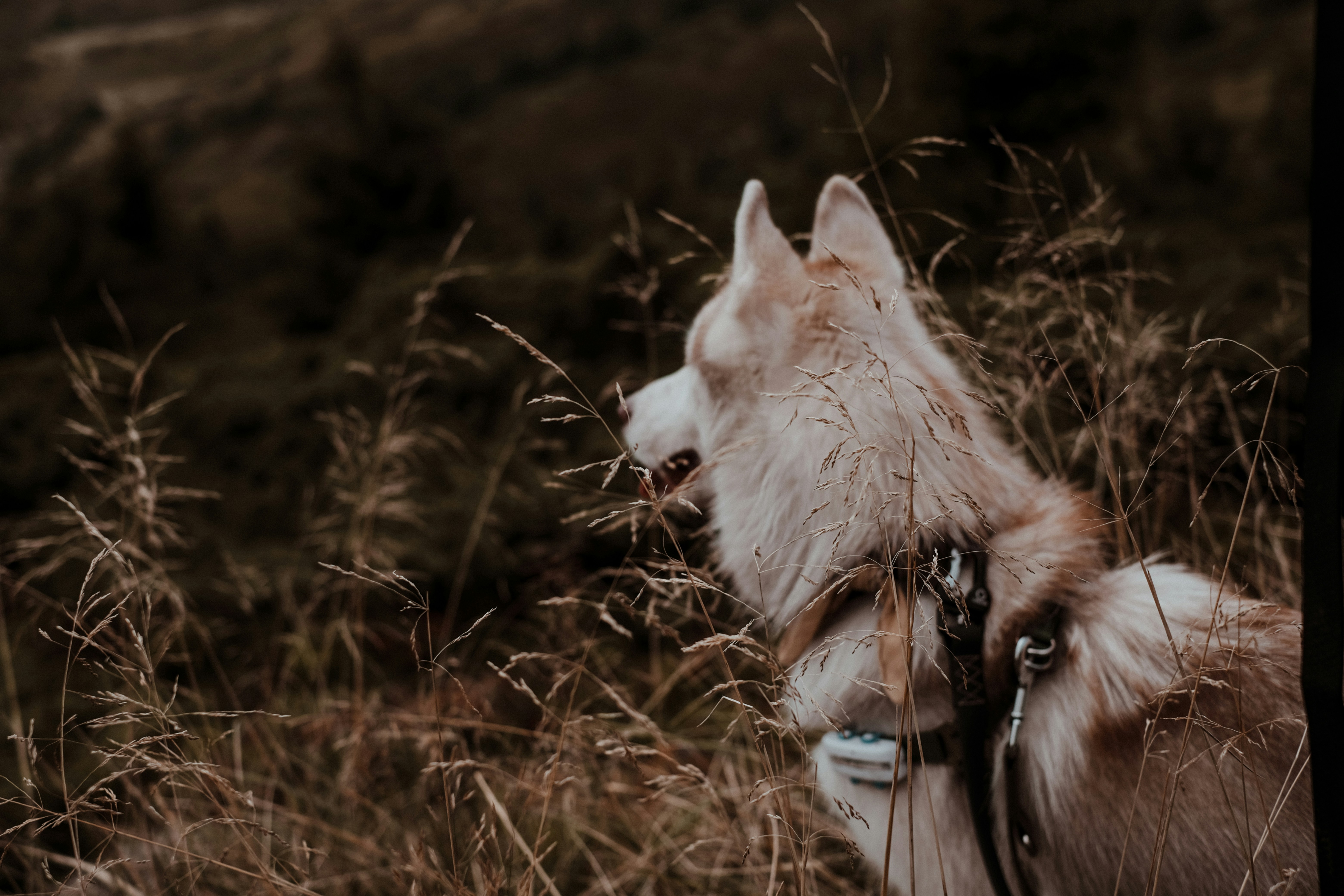 Photo by valeriiamiller