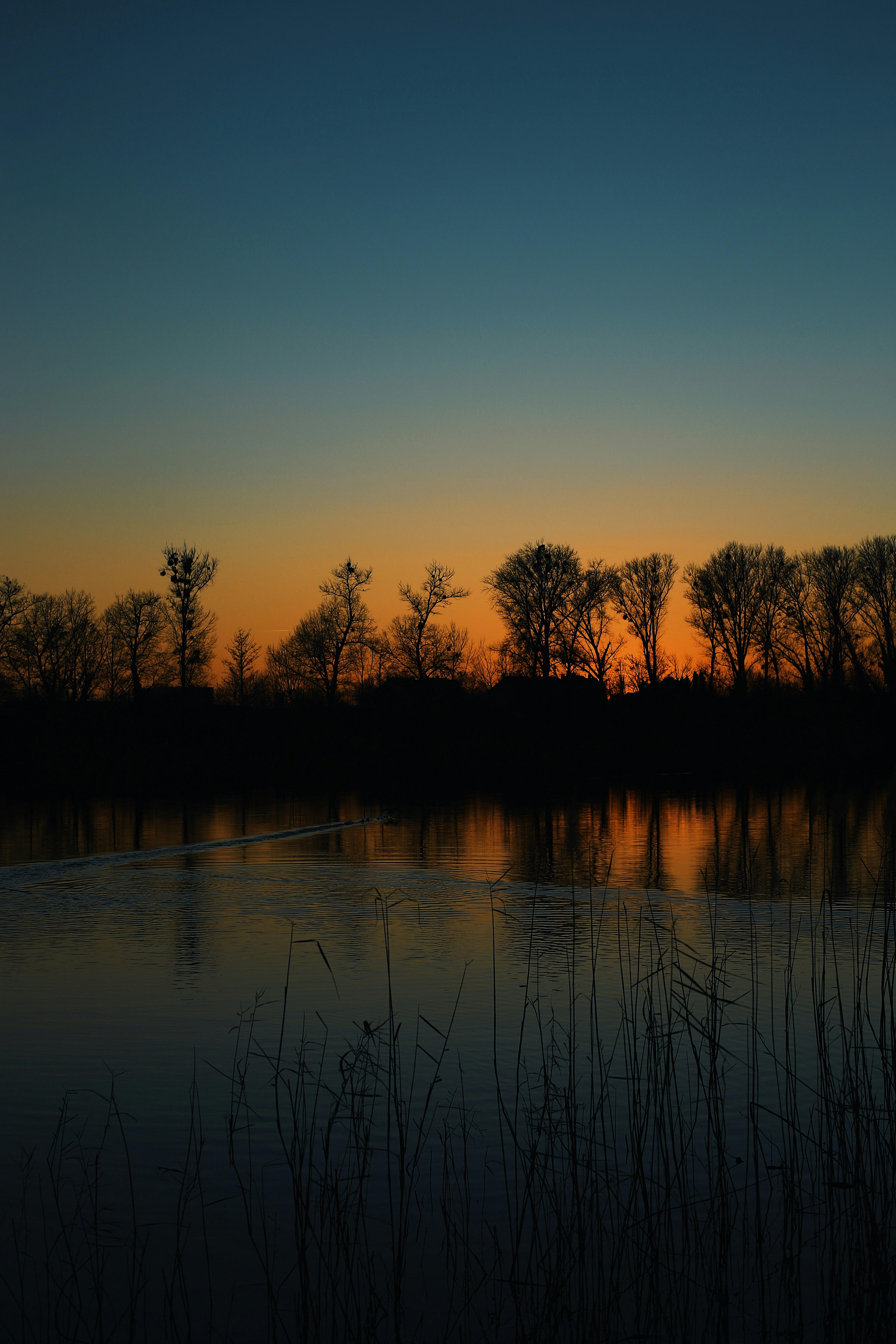 Photo by swagstreetboi