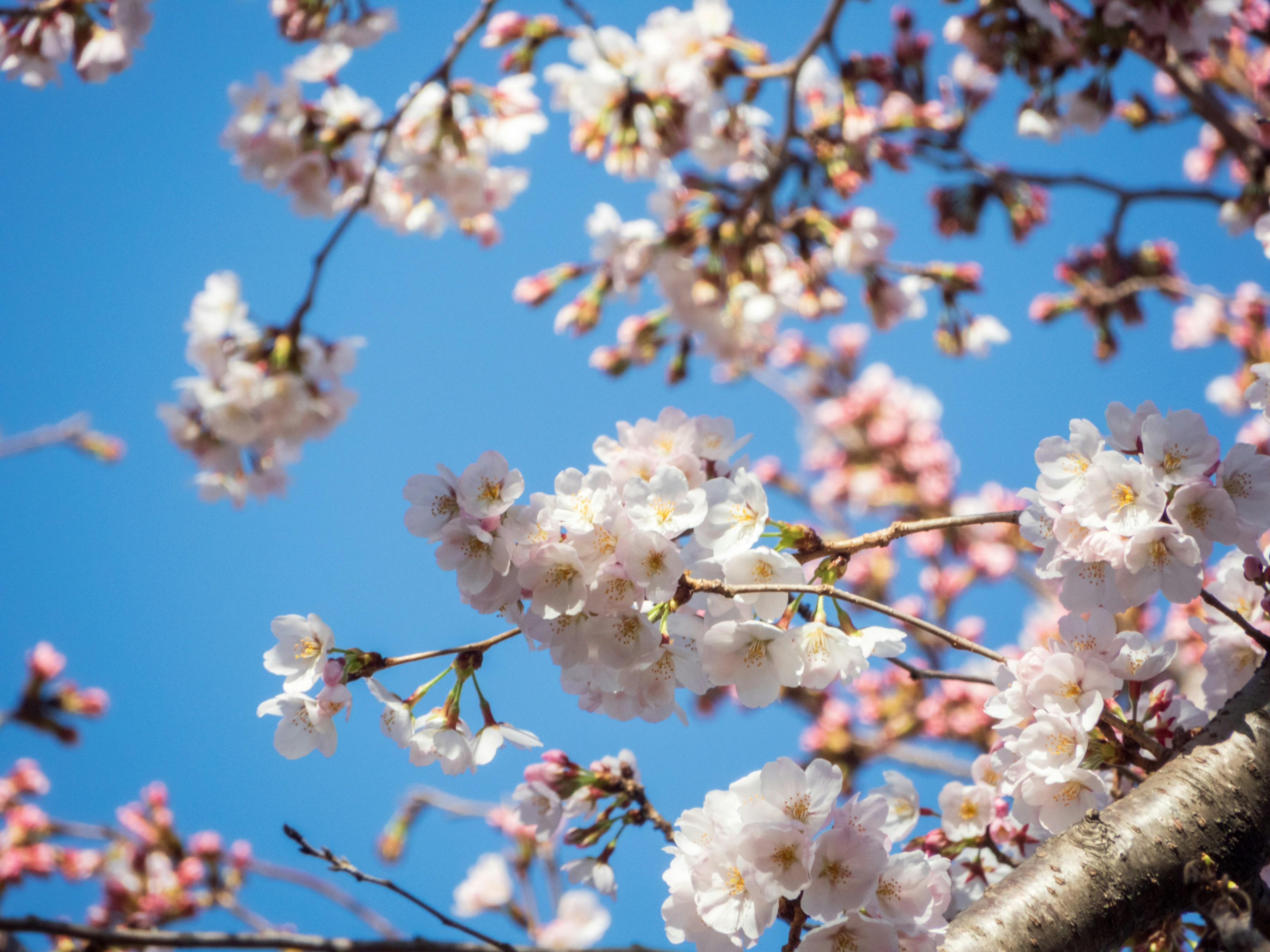 Photo by heppoko_yama