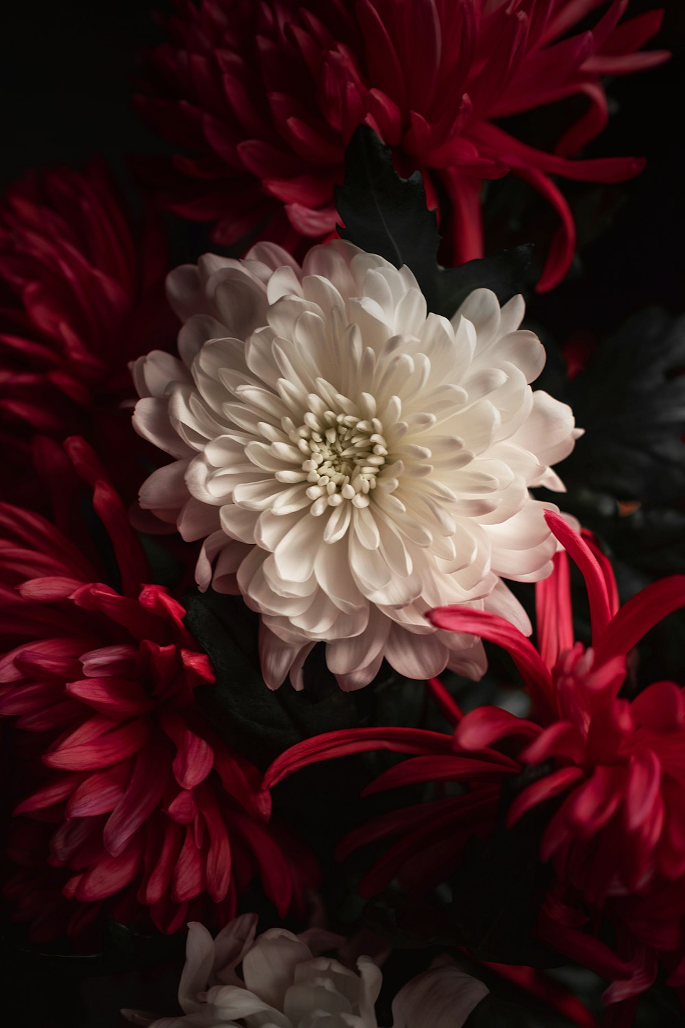 Una gran flor blanca y roja sentada encima de una mesa