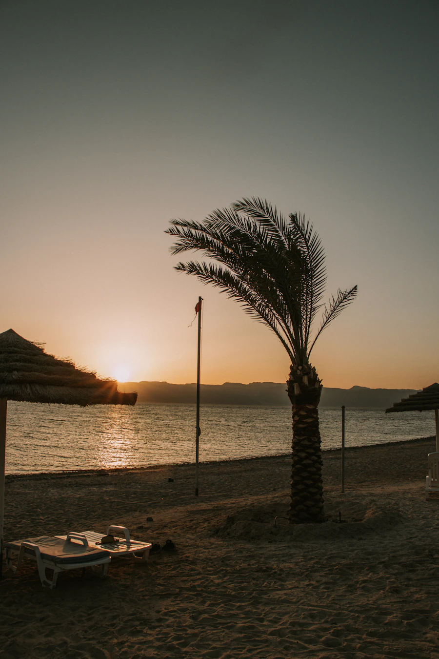 Plage et palmiers à Aqaba, mer Rouge, Jordanie
